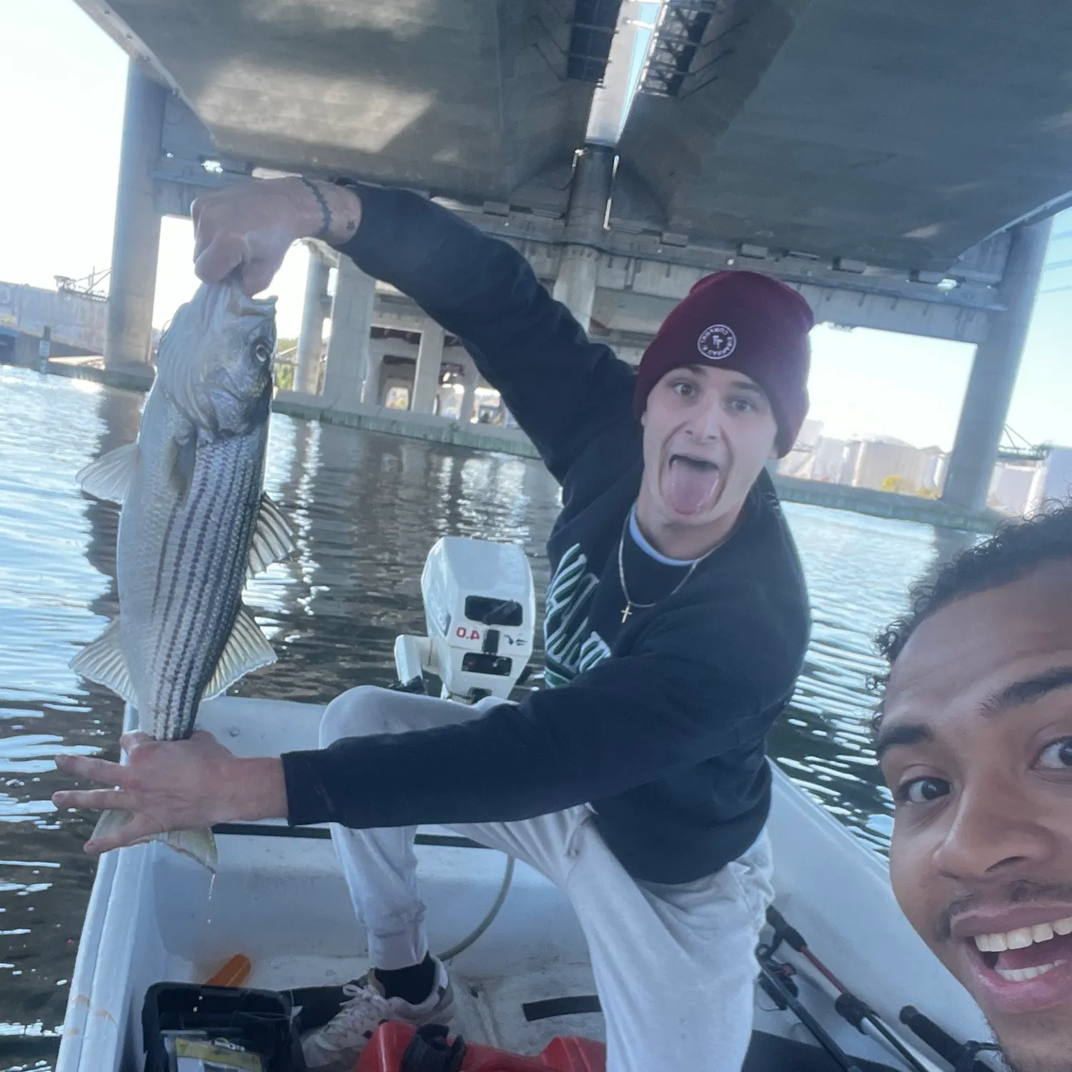 Striped bass caught on Fishbrain