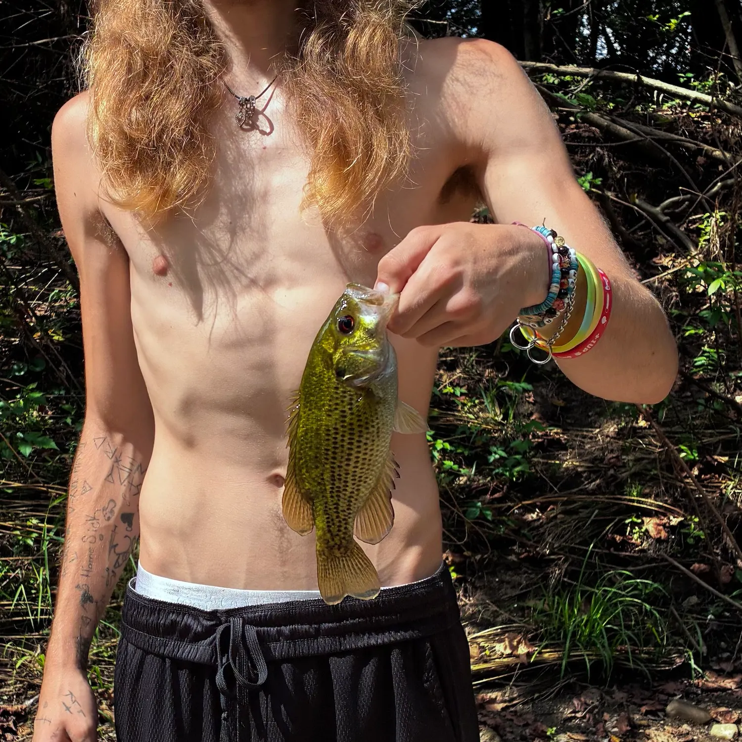 Rock bass caught on Fishbrain