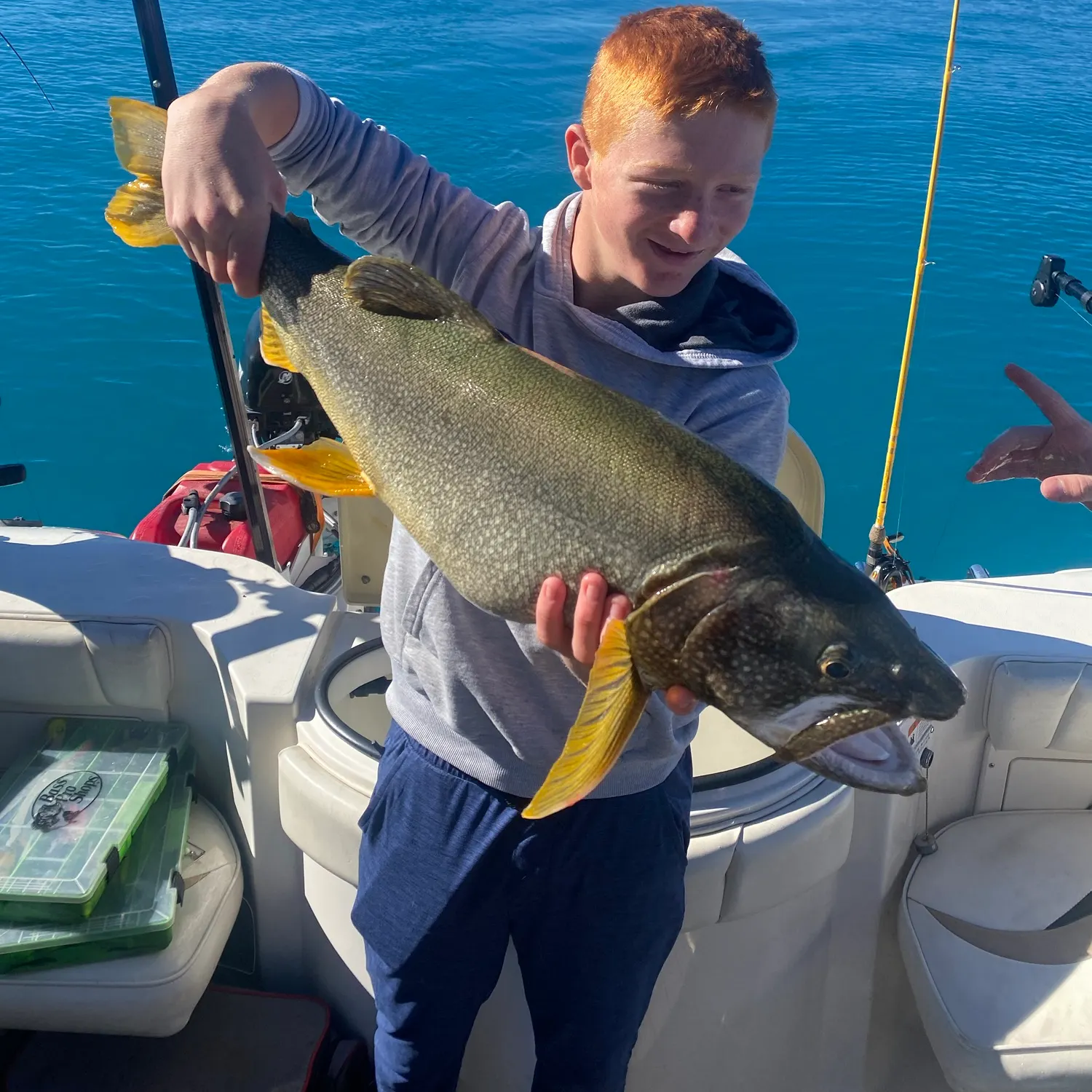 Lake char caught on Fishbrain