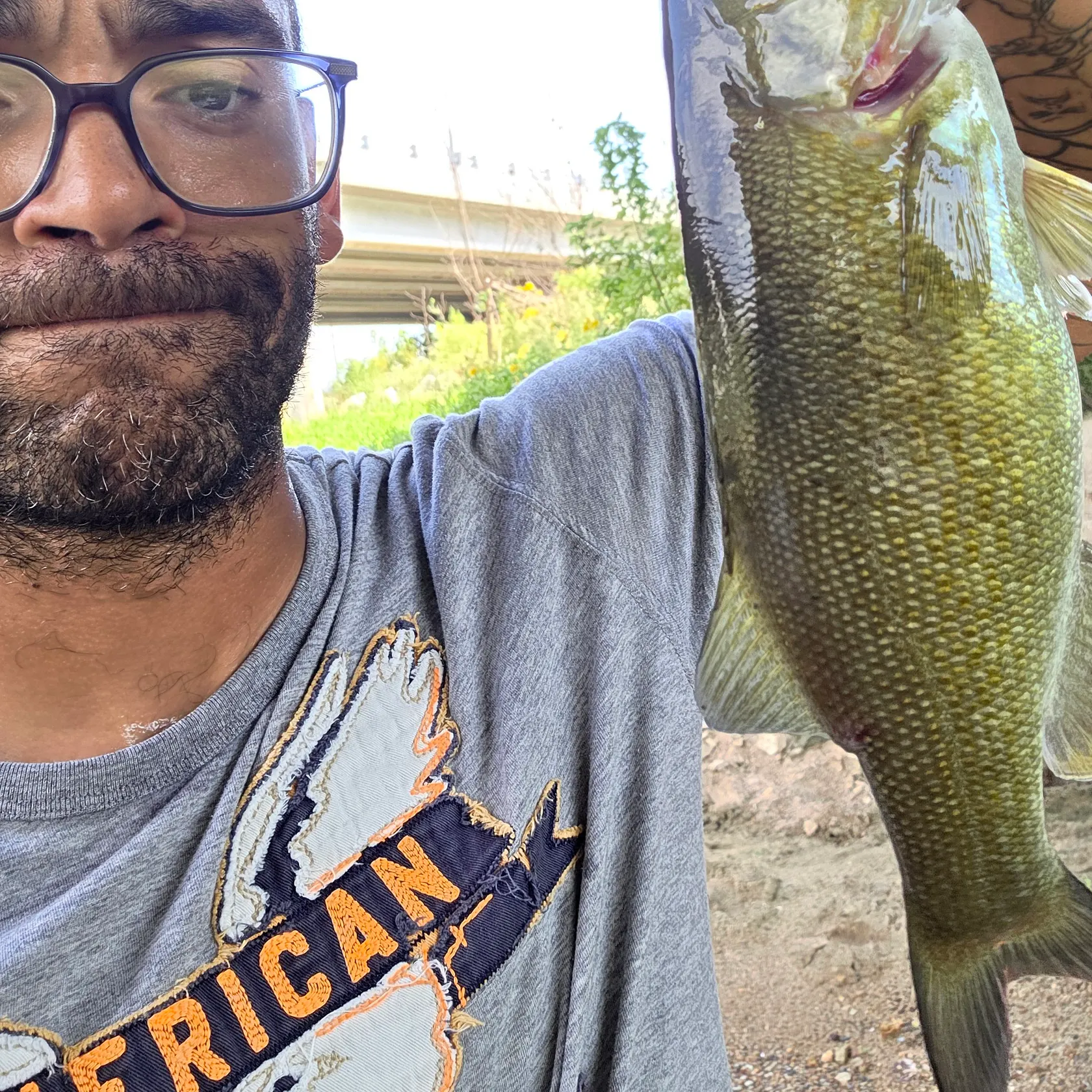 Smallmouth bass caught on Fishbrain