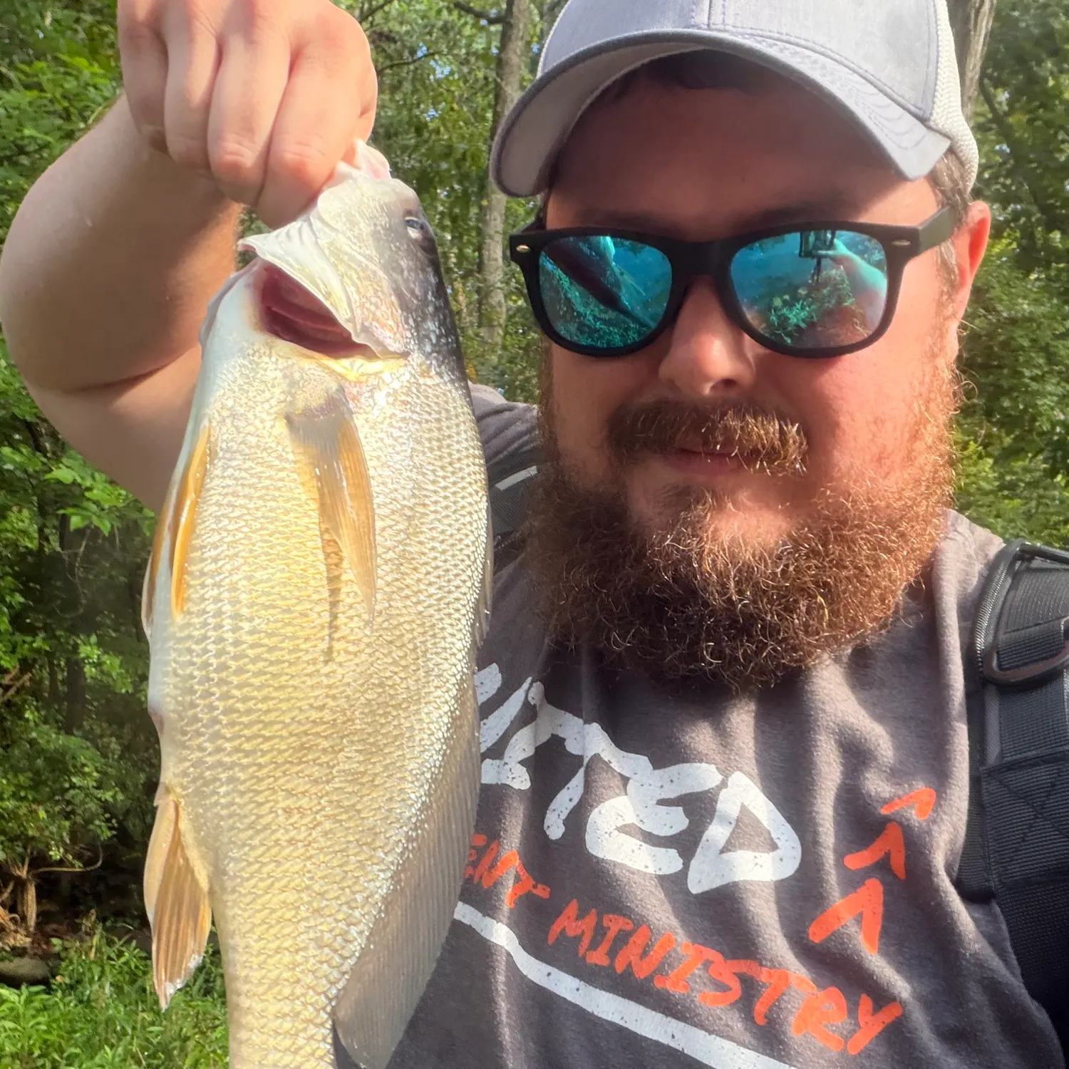 Freshwater drum caught on Fishbrain
