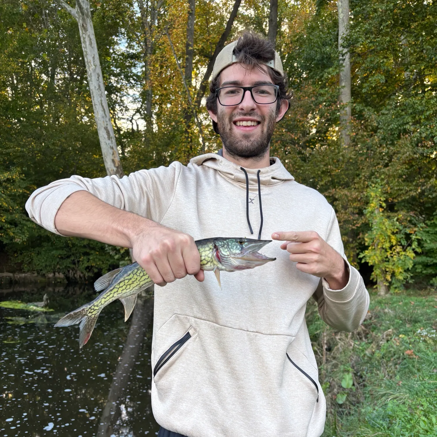 Chain pickerel caught on Fishbrain