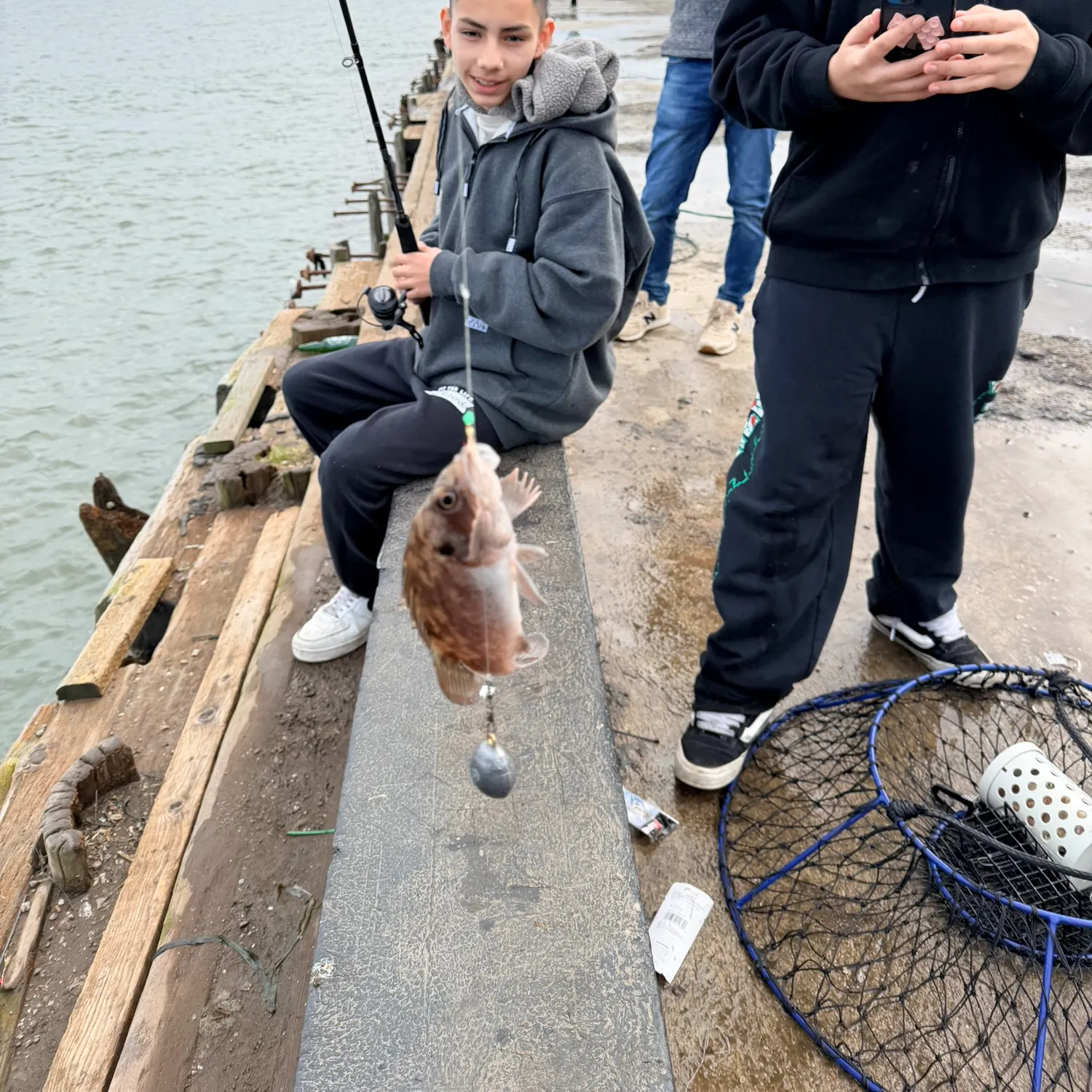 The most recent Peruvian rock seabass catches on Fishbrain