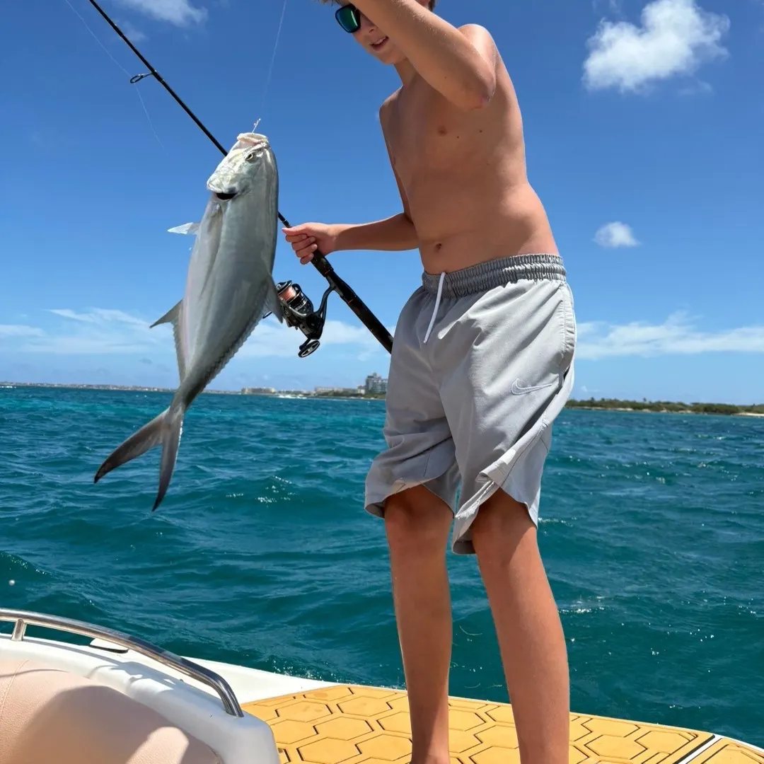 Blue runner caught on Fishbrain