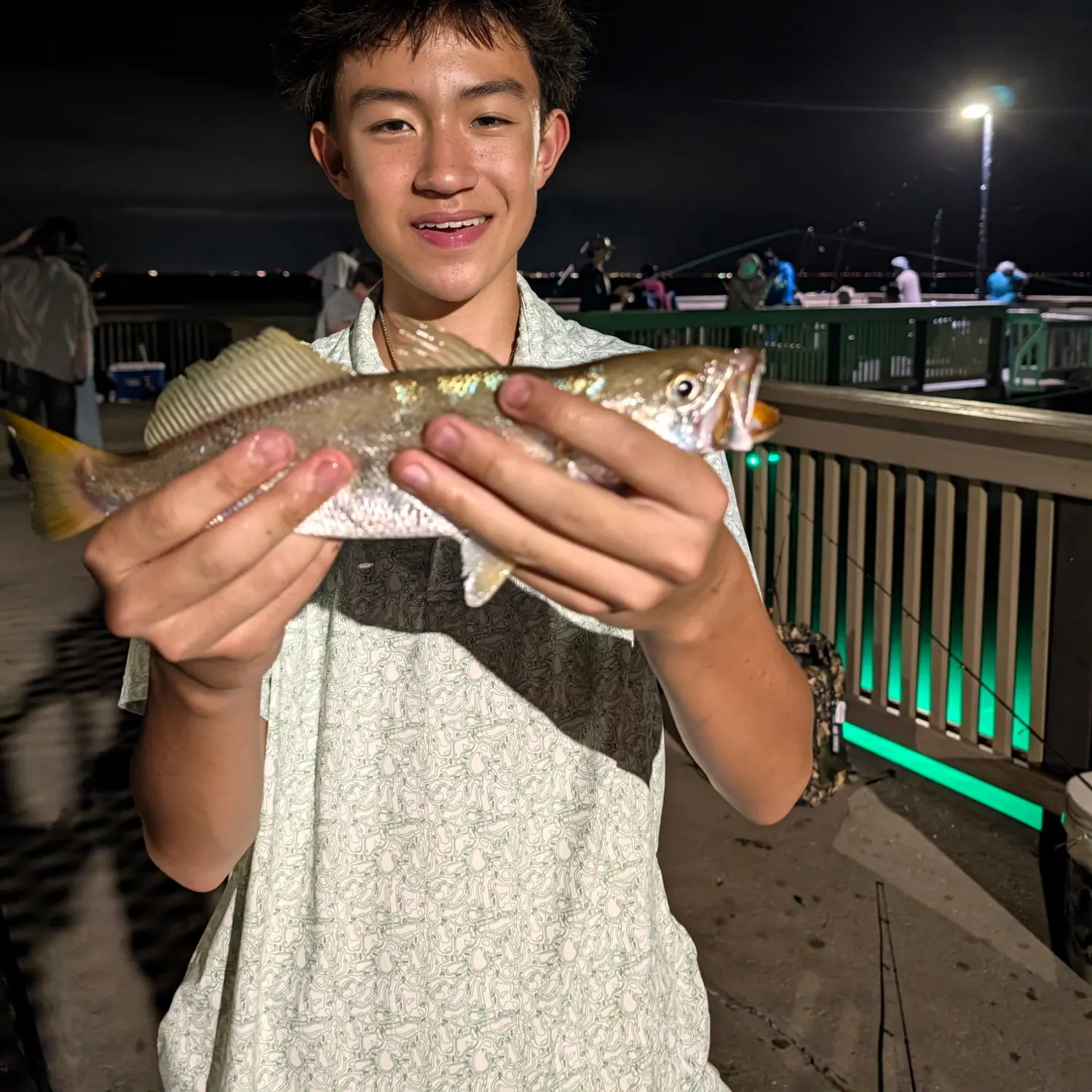 Sand seatrout caught on Fishbrain