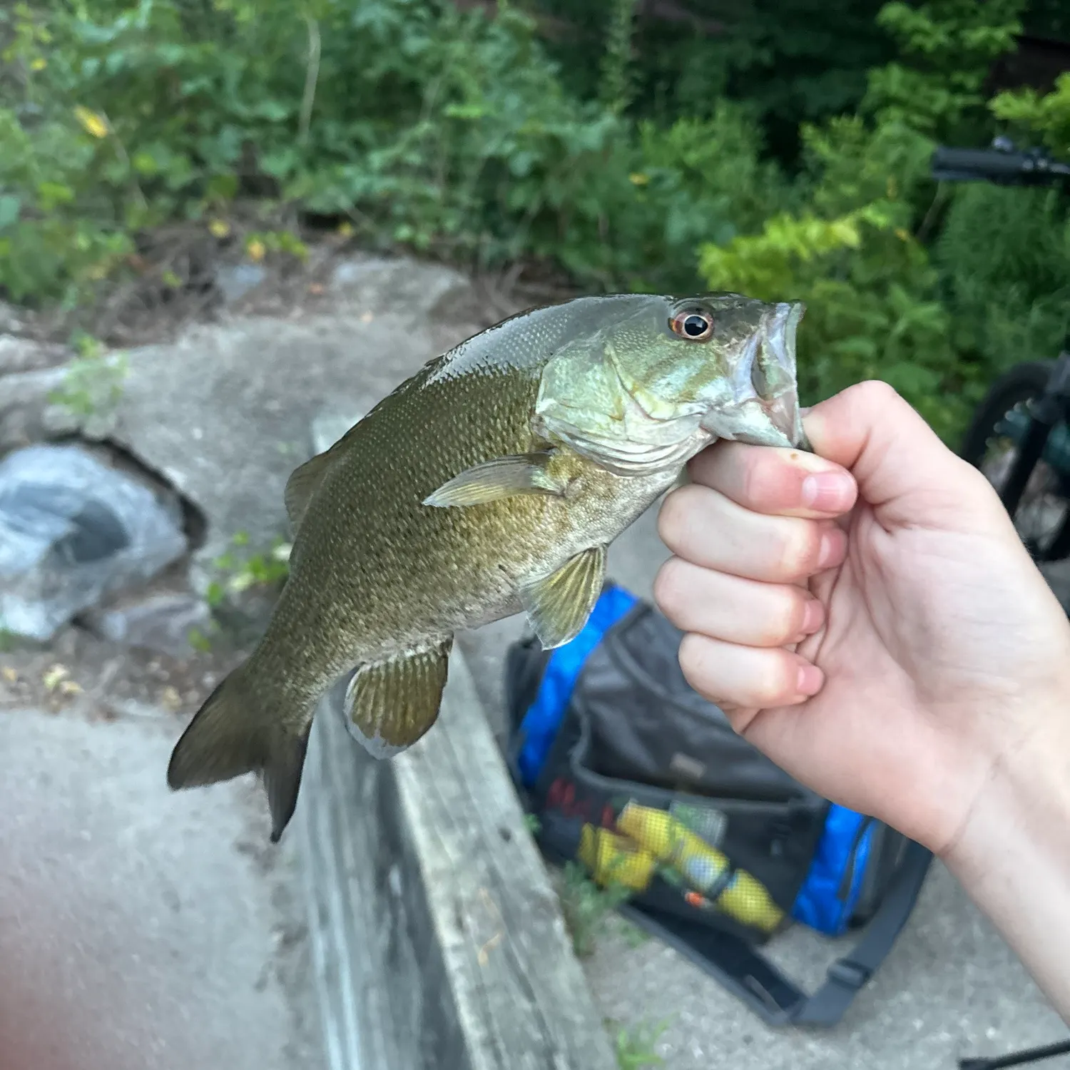 catch