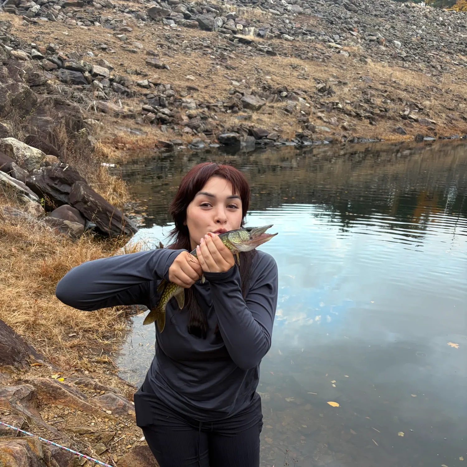 Chain pickerel caught on Fishbrain