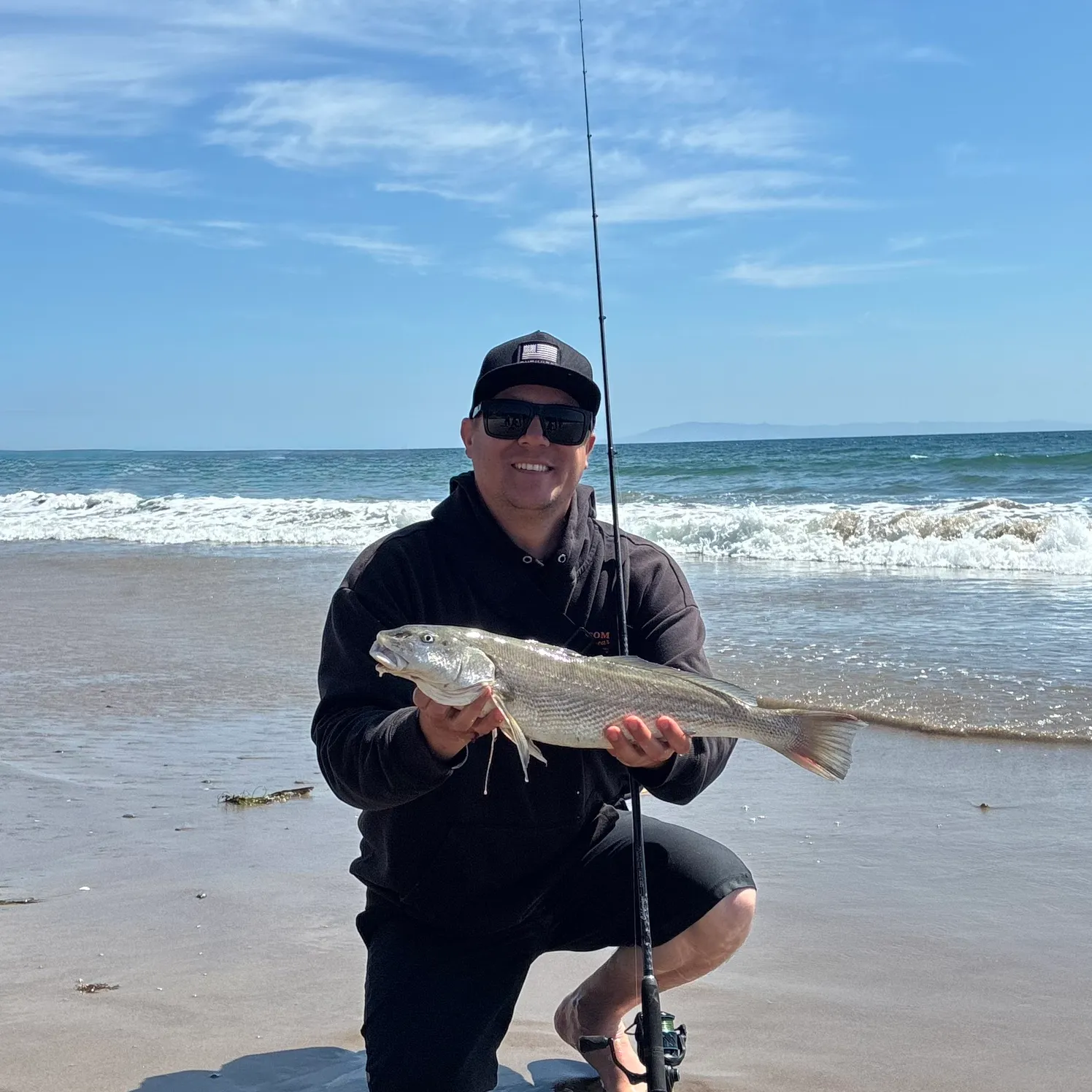 The most recent California corbina catches on Fishbrain