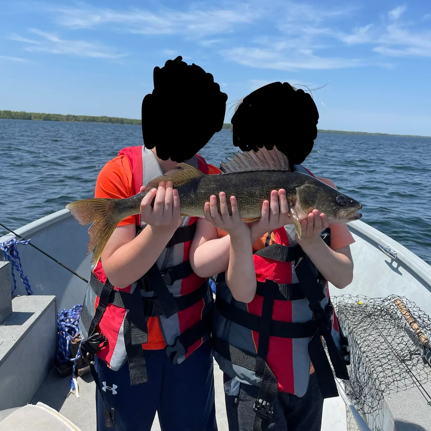 The most recent Walleye catches on Fishbrain