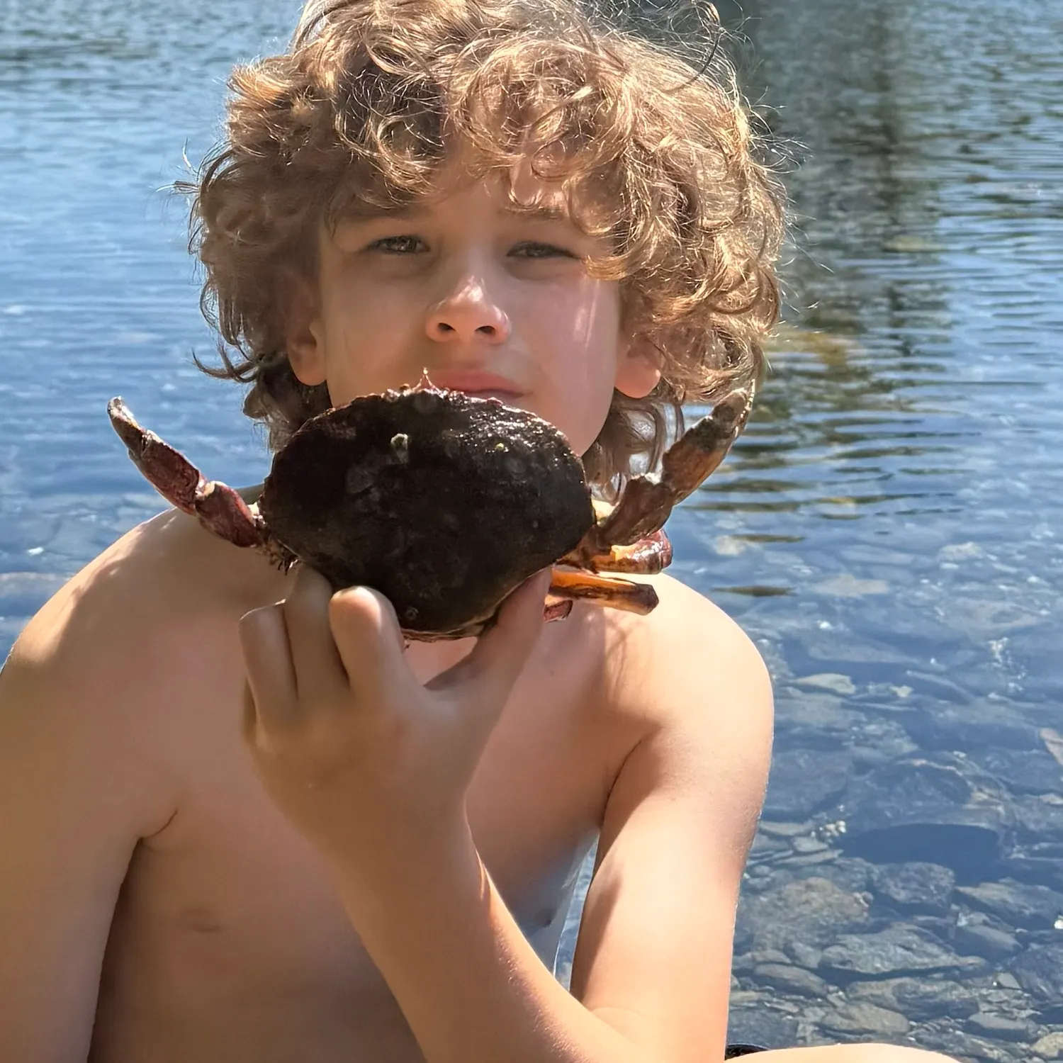 The most recent Jonah crab catches on Fishbrain