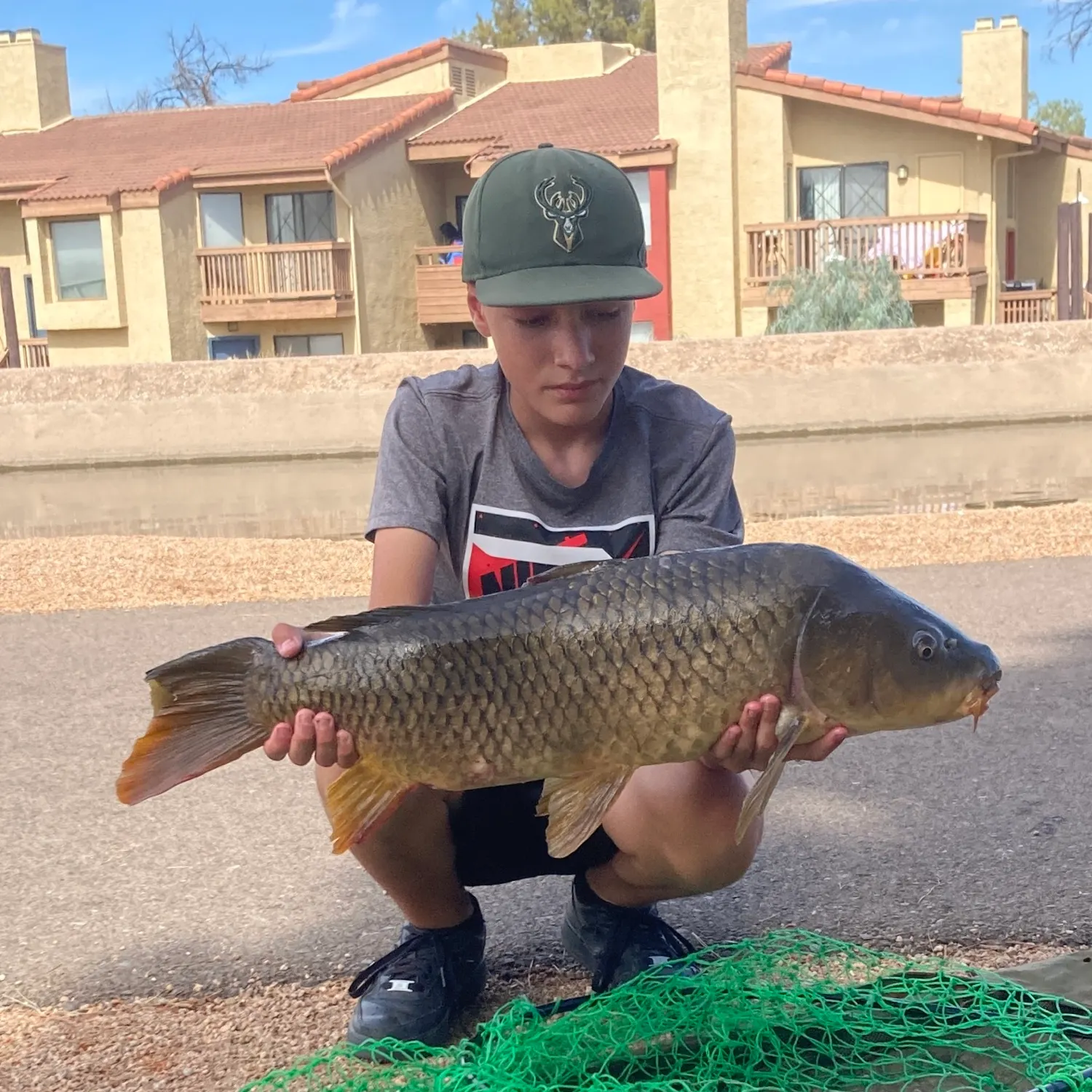 The most recent Common carp catches on Fishbrain