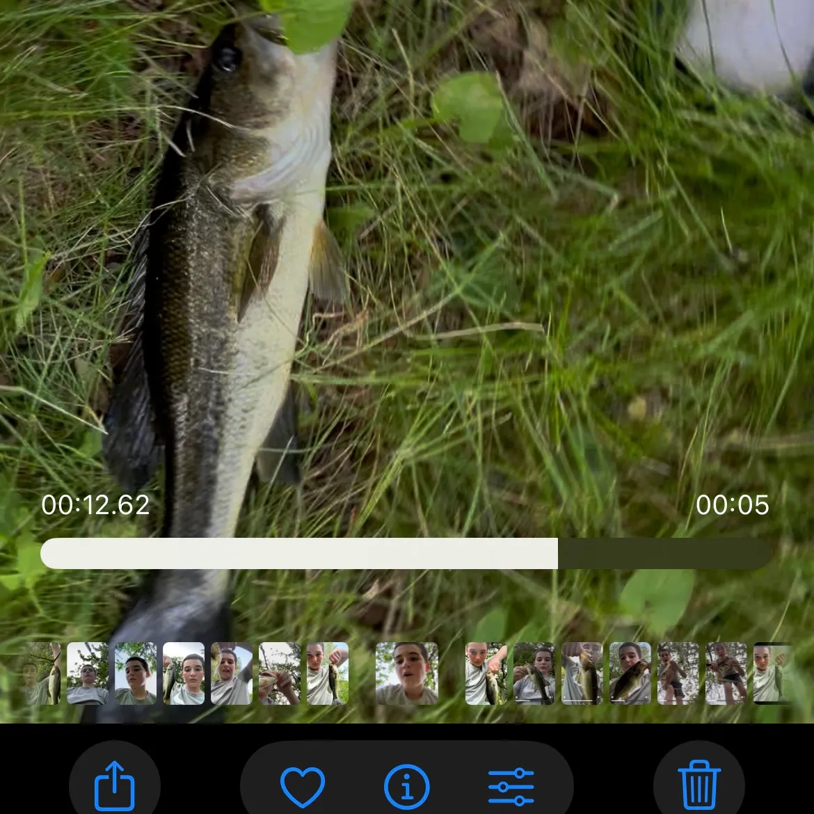 recently logged catches