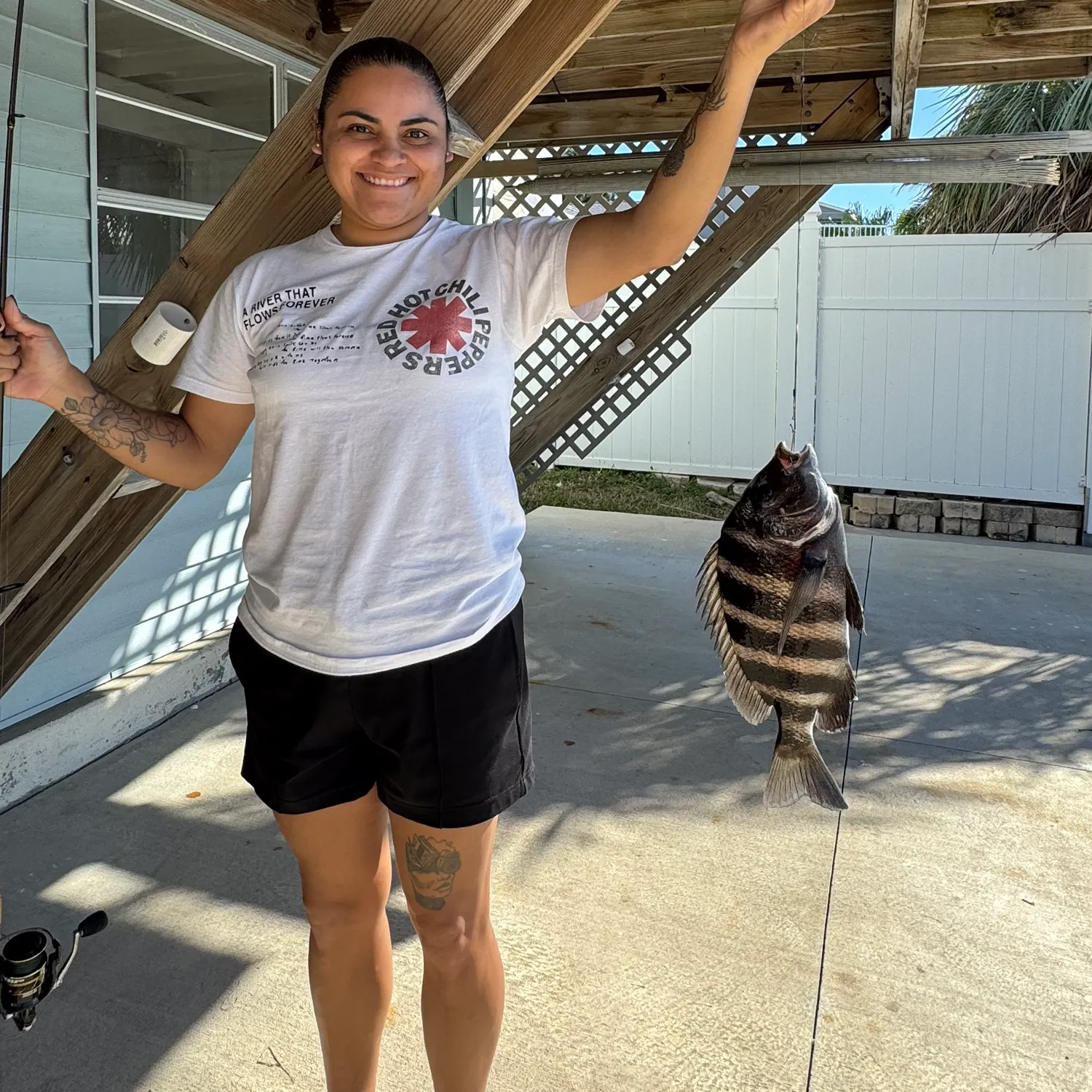 The most recent Sheepshead catches on Fishbrain