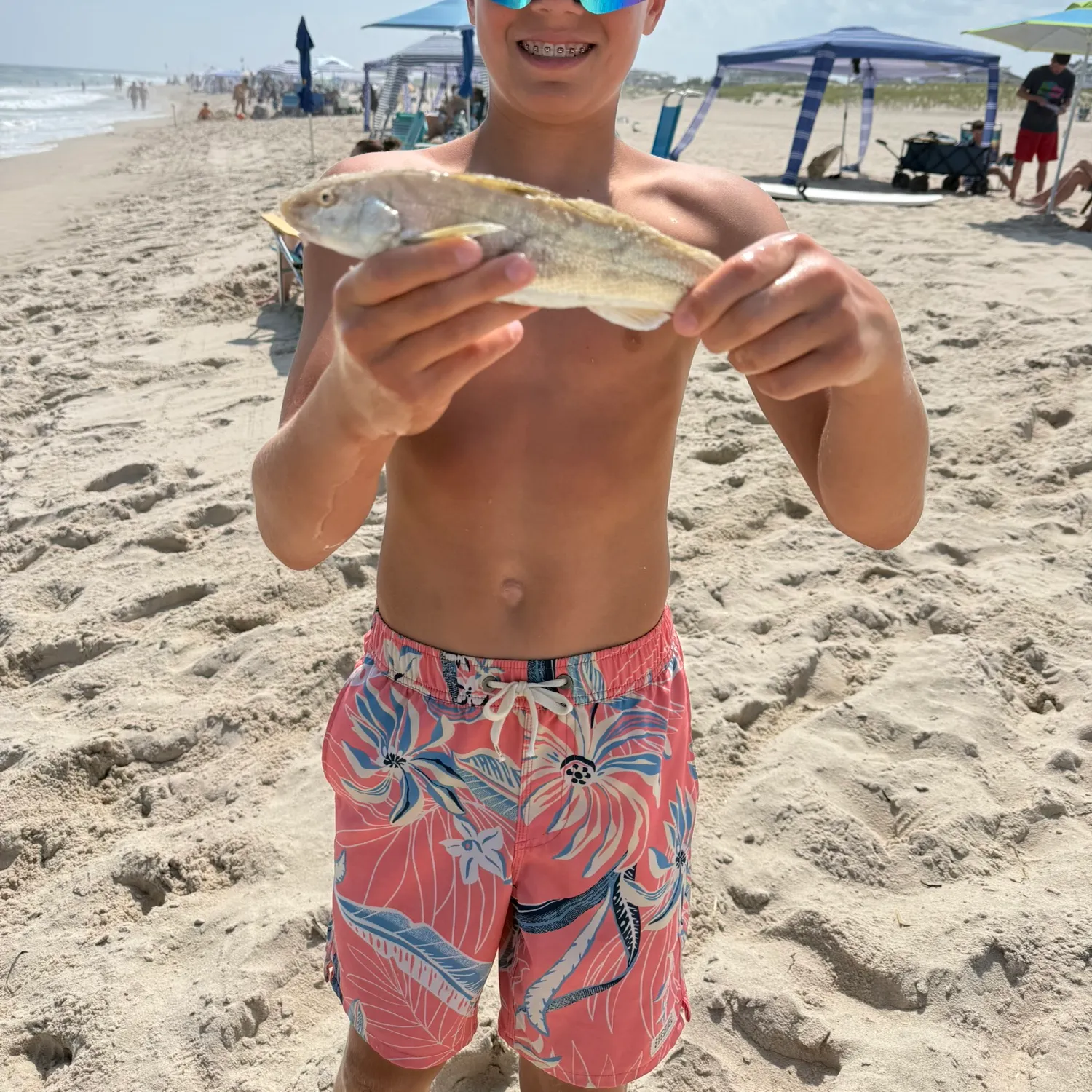 The most recent Northern kingcroaker catches on Fishbrain