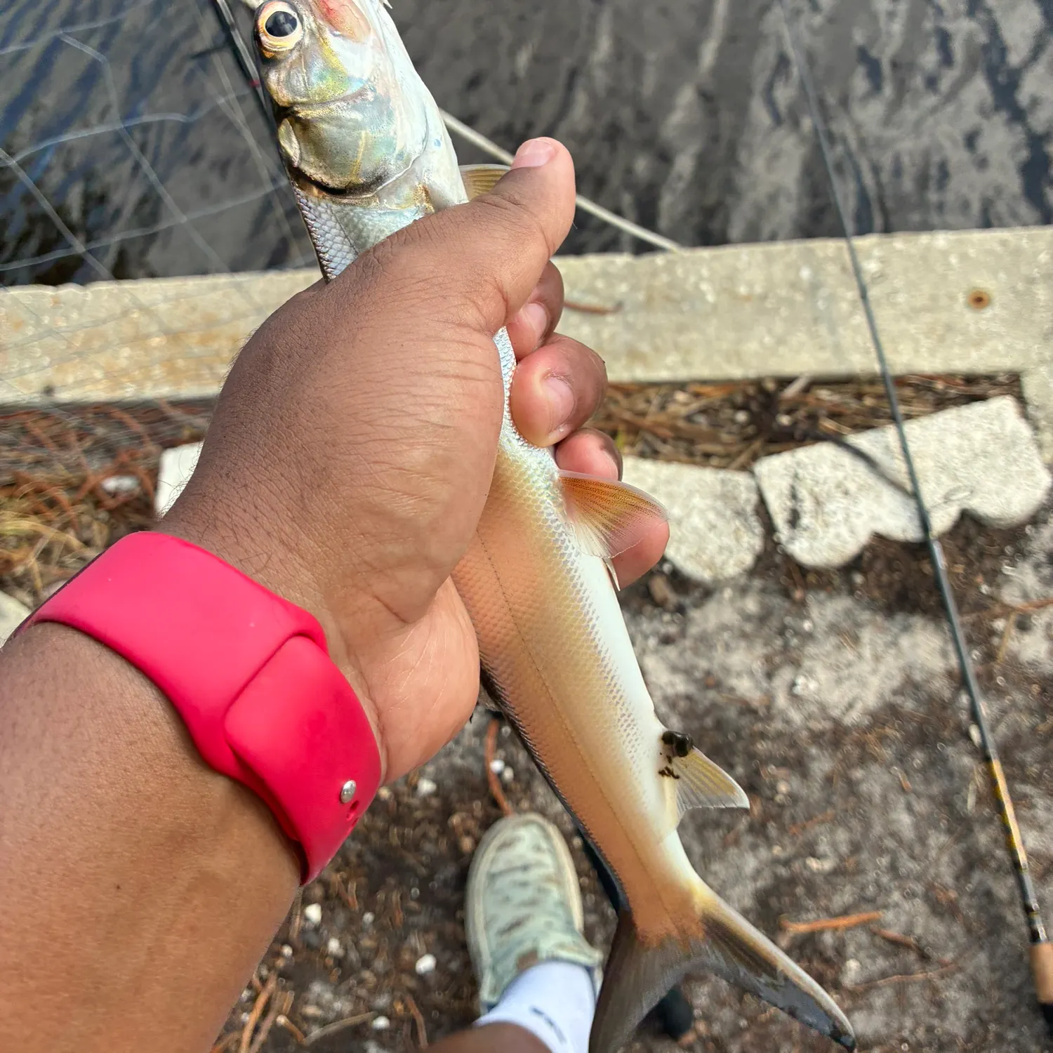 catch