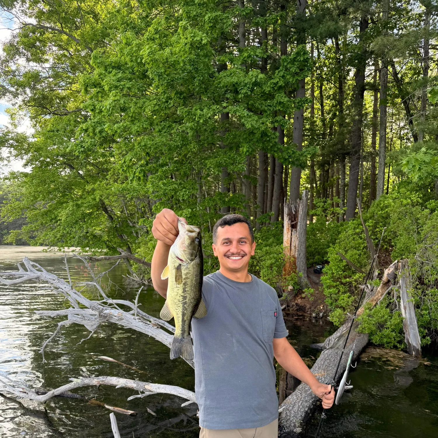 The most recent Spotted bass catches on Fishbrain