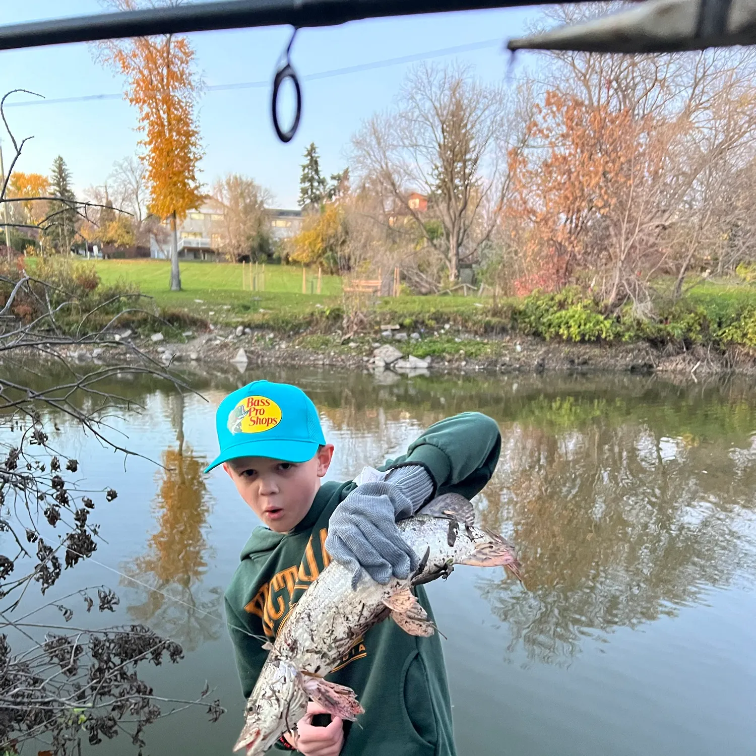 Northern pike caught on Fishbrain