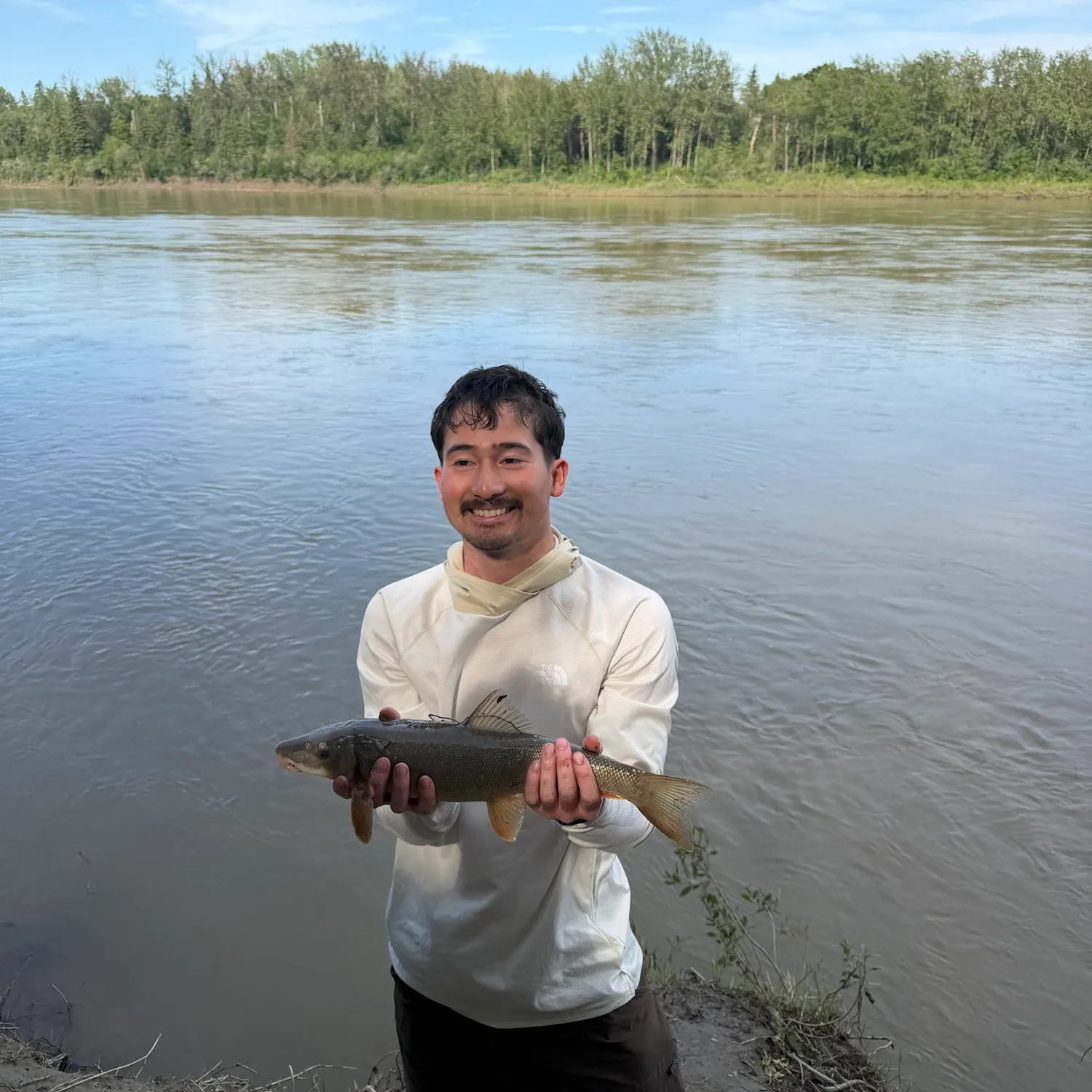 The most recent Largescale sucker catches on Fishbrain