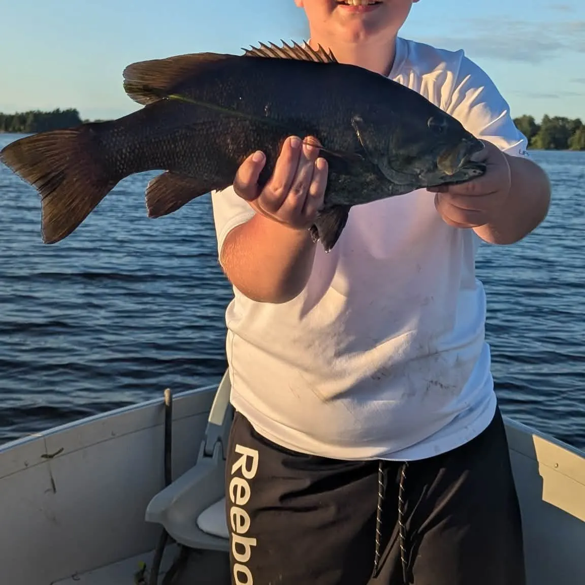 Smallmouth bass caught on Fishbrain