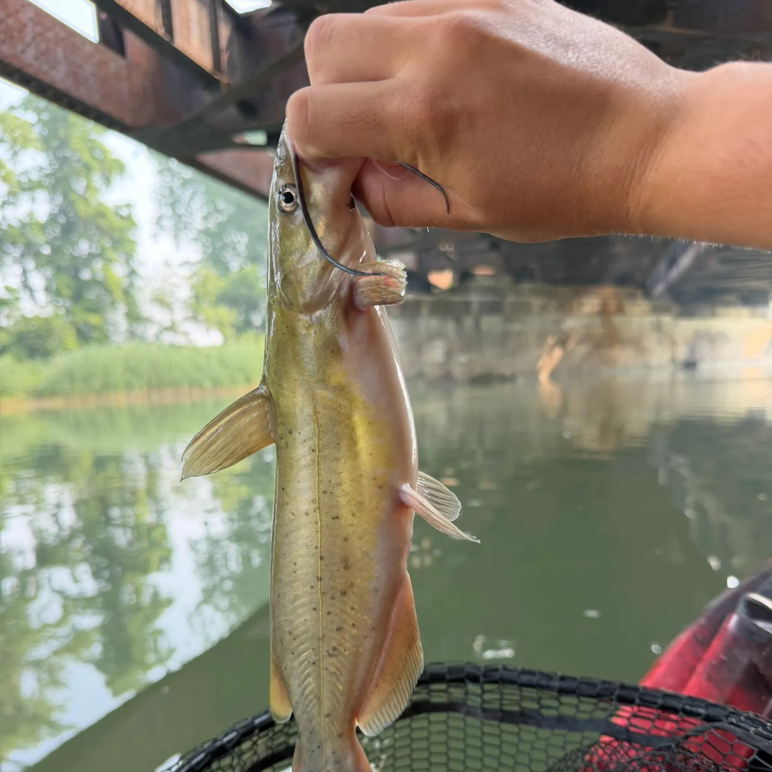 catch