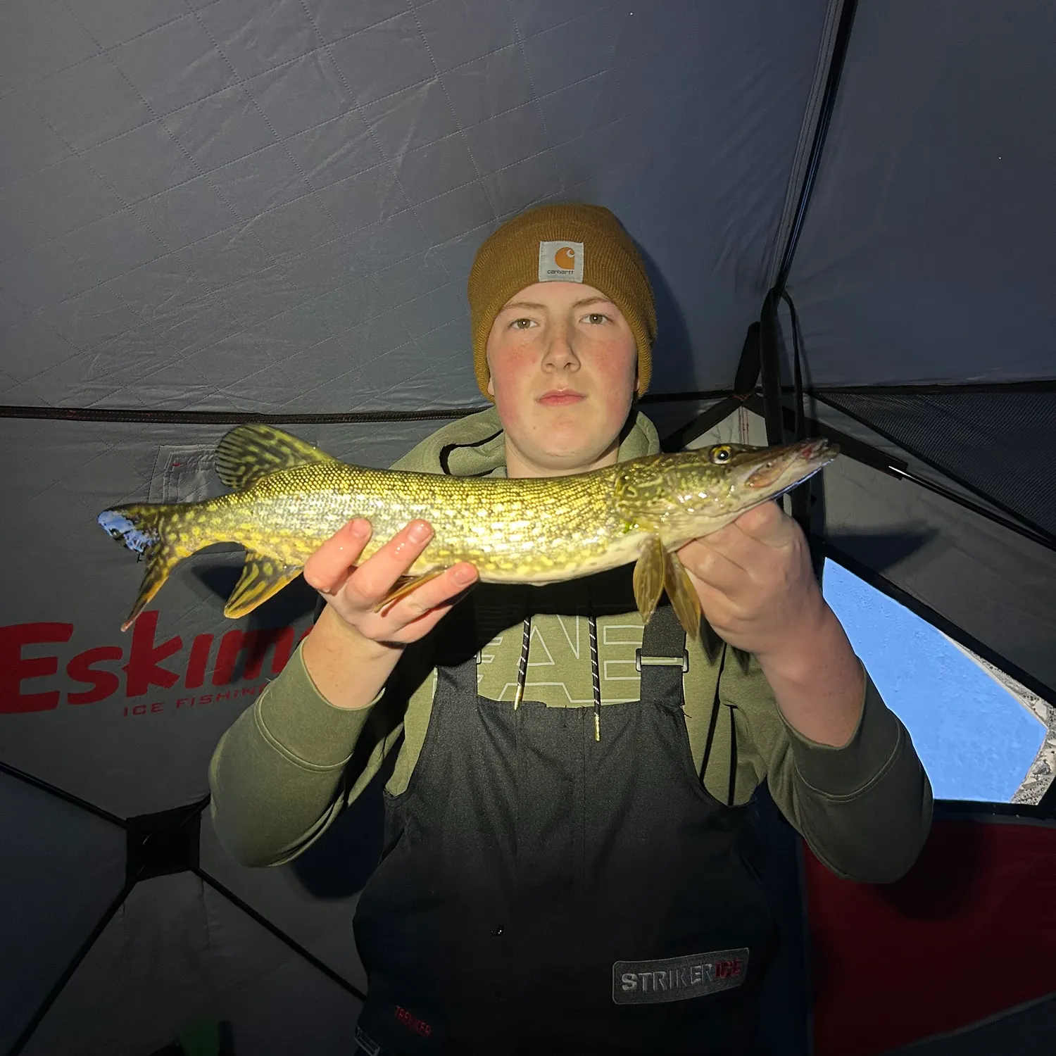 The most recent Northern pike catches on Fishbrain