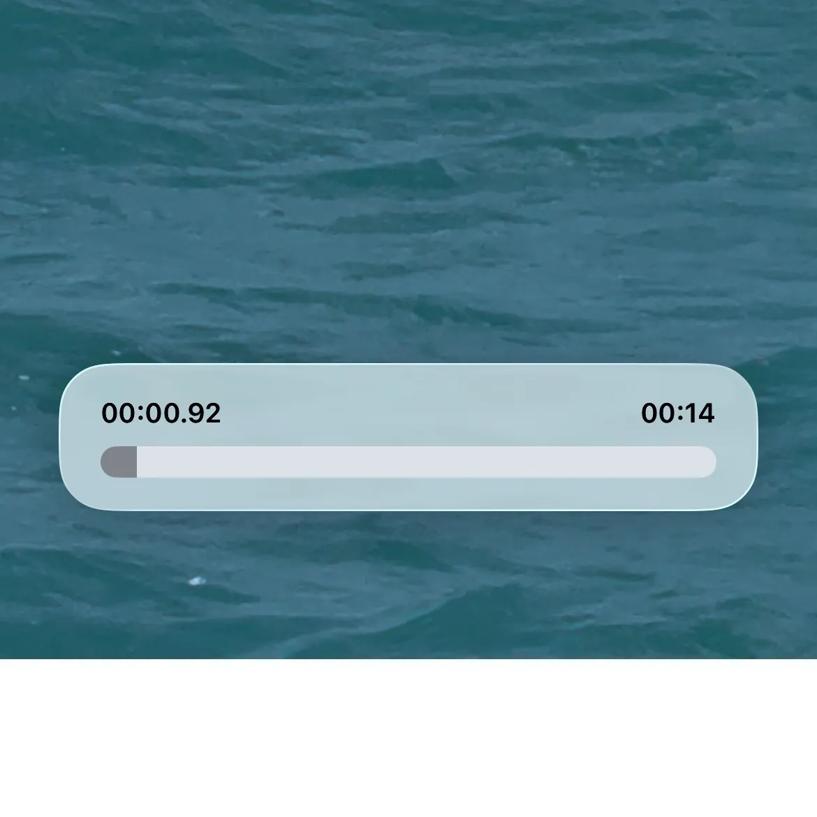 The most recent Great hammerhead shark catches on Fishbrain