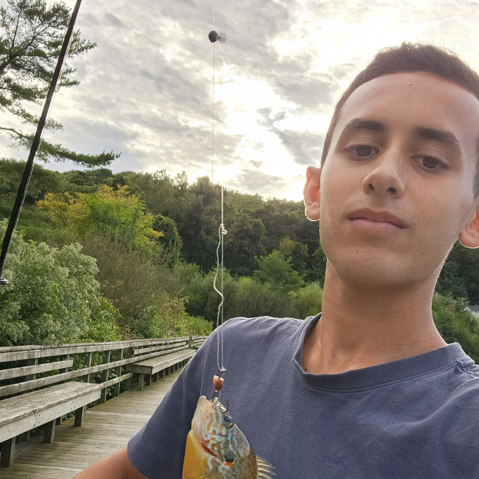 Pumpkinseed caught on Fishbrain