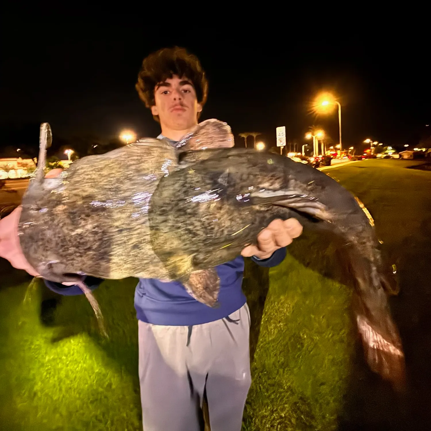 The most recent Flathead catfish catches on Fishbrain
