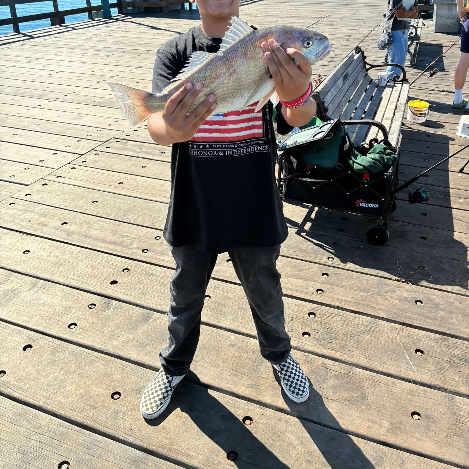 The most recent White croaker catches on Fishbrain