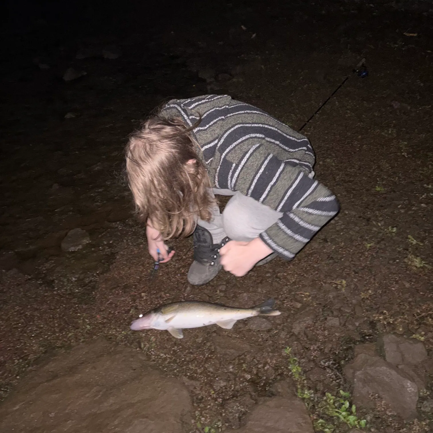 Fish caught on Fishbrain