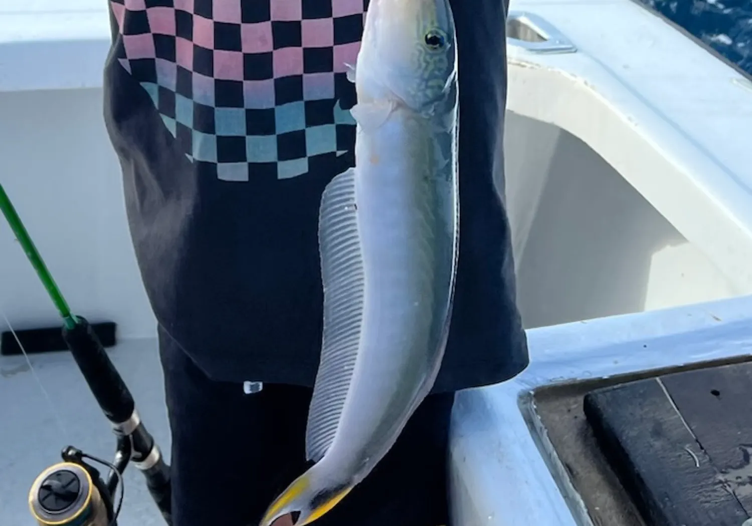 Sand tilefish