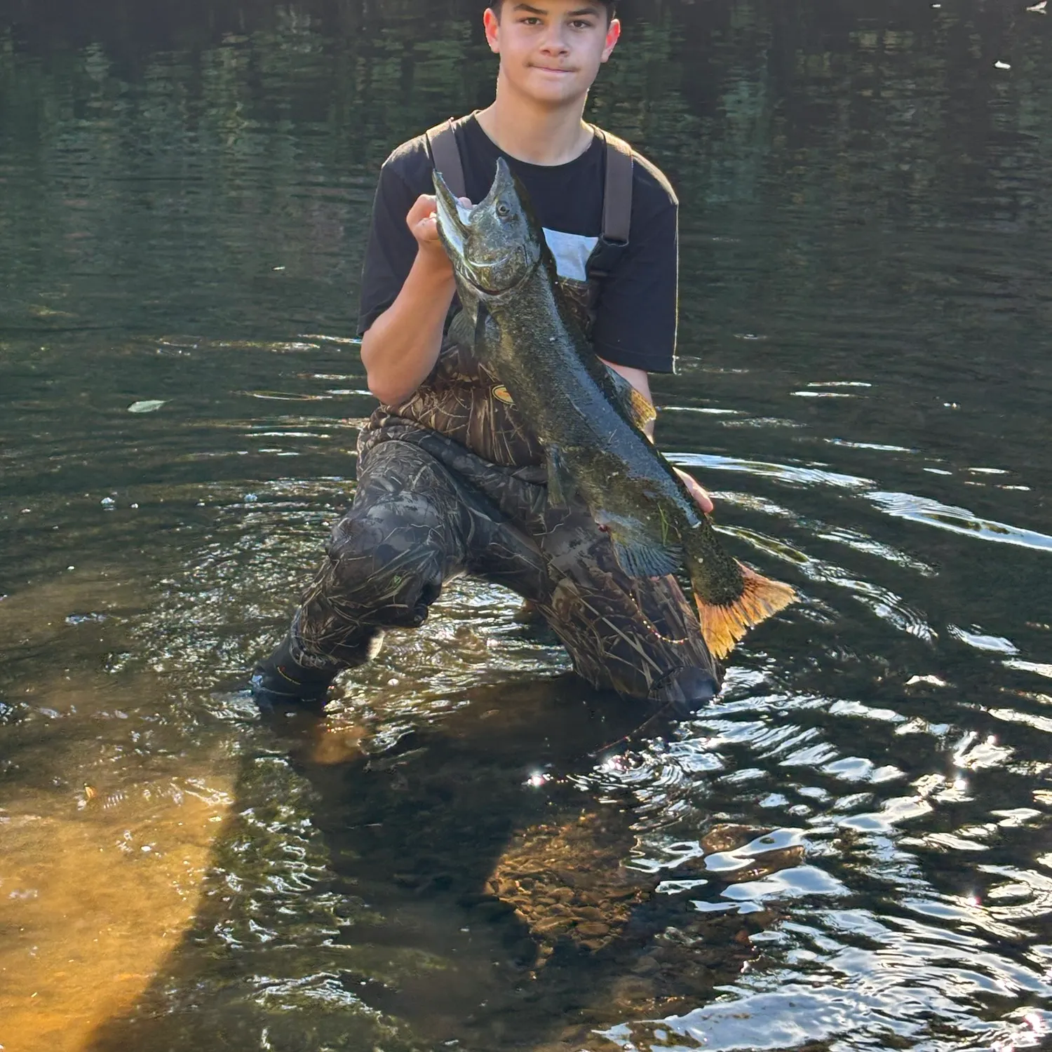 Chinook salmon caught on Fishbrain