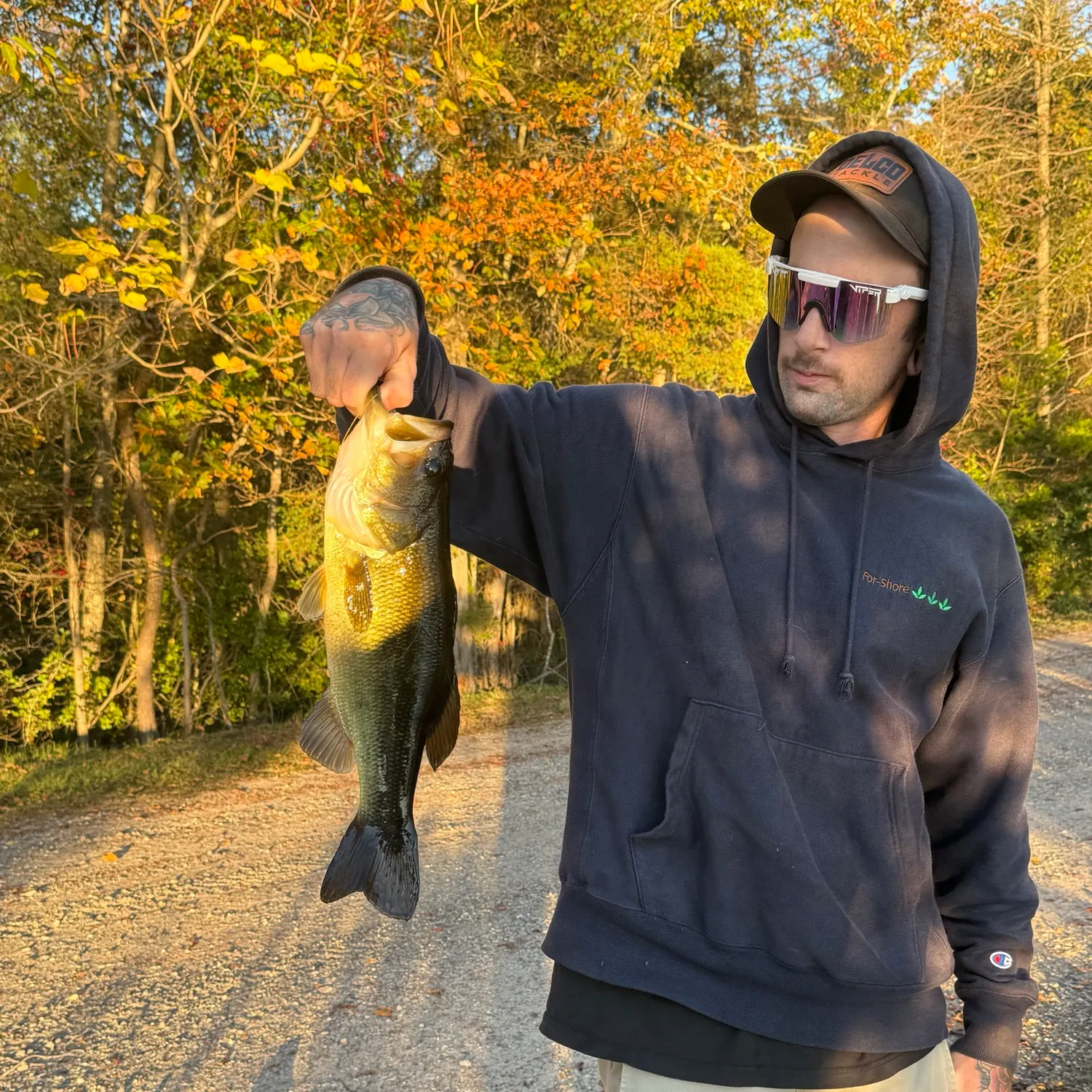 Largemouth bass caught on Fishbrain
