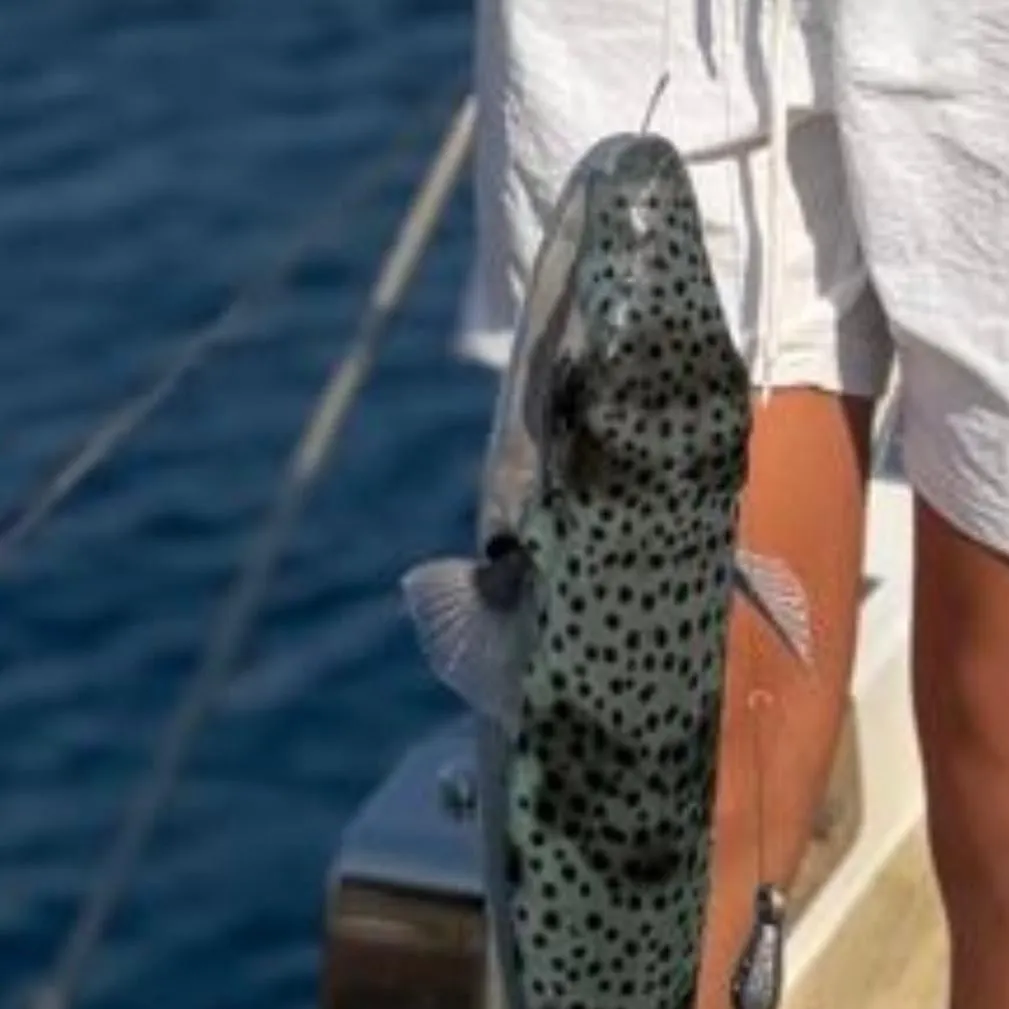 Fish caught on Fishbrain