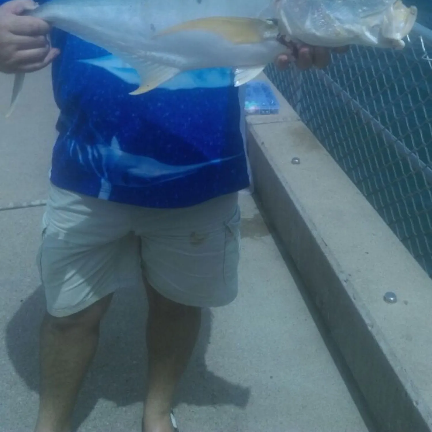 angler catch