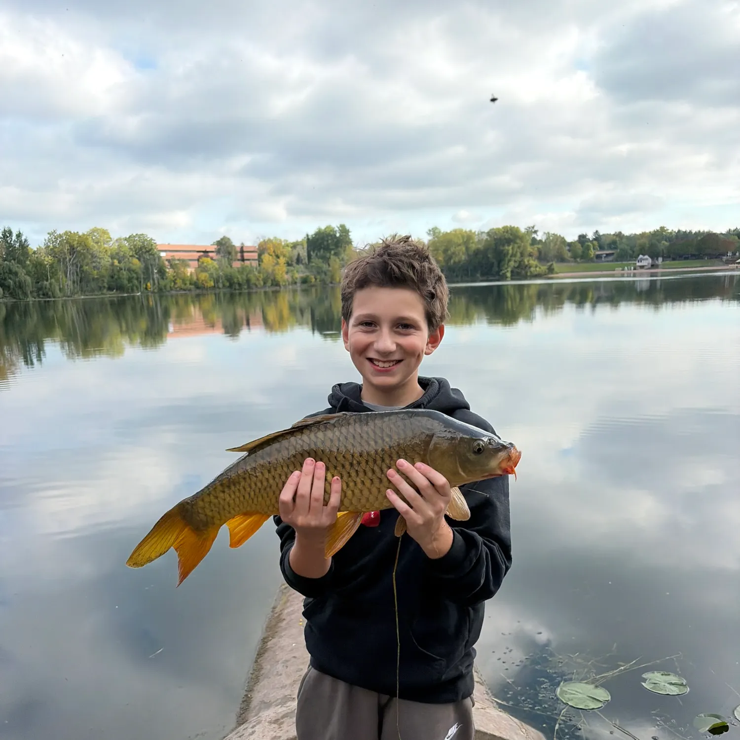 Common carp caught on Fishbrain