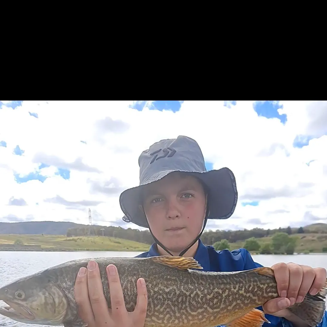 Tiger trout caught on Fishbrain