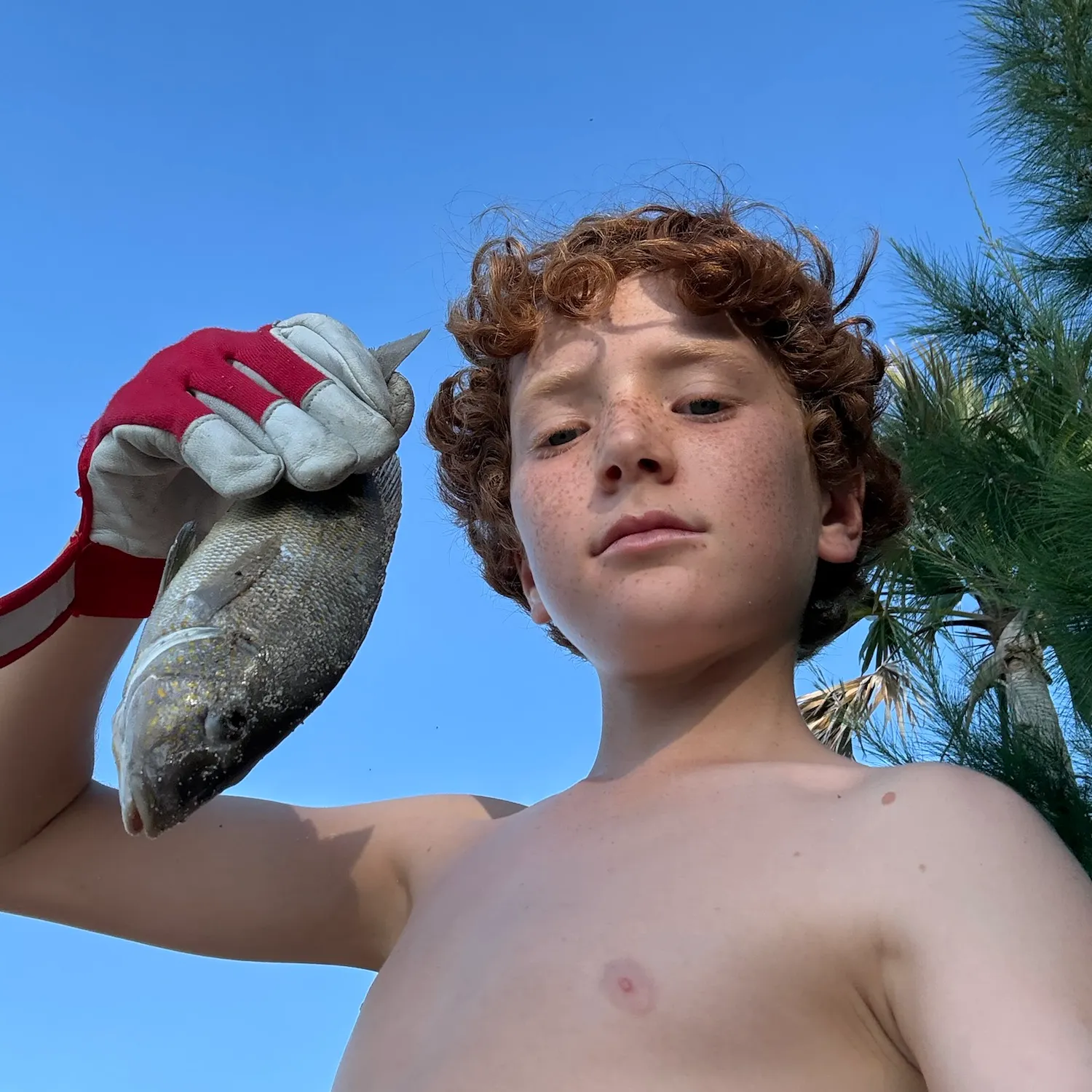 The most recent Sooty grunter catches on Fishbrain