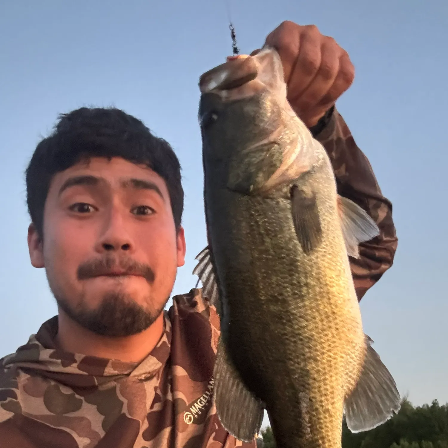 Largemouth bass caught on Fishbrain