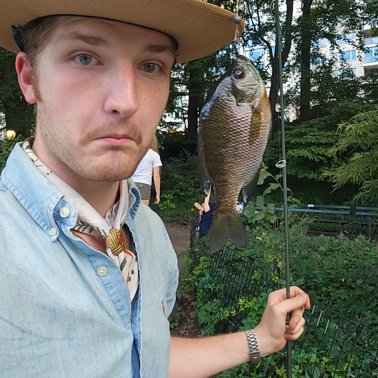 Bluegill caught on Fishbrain