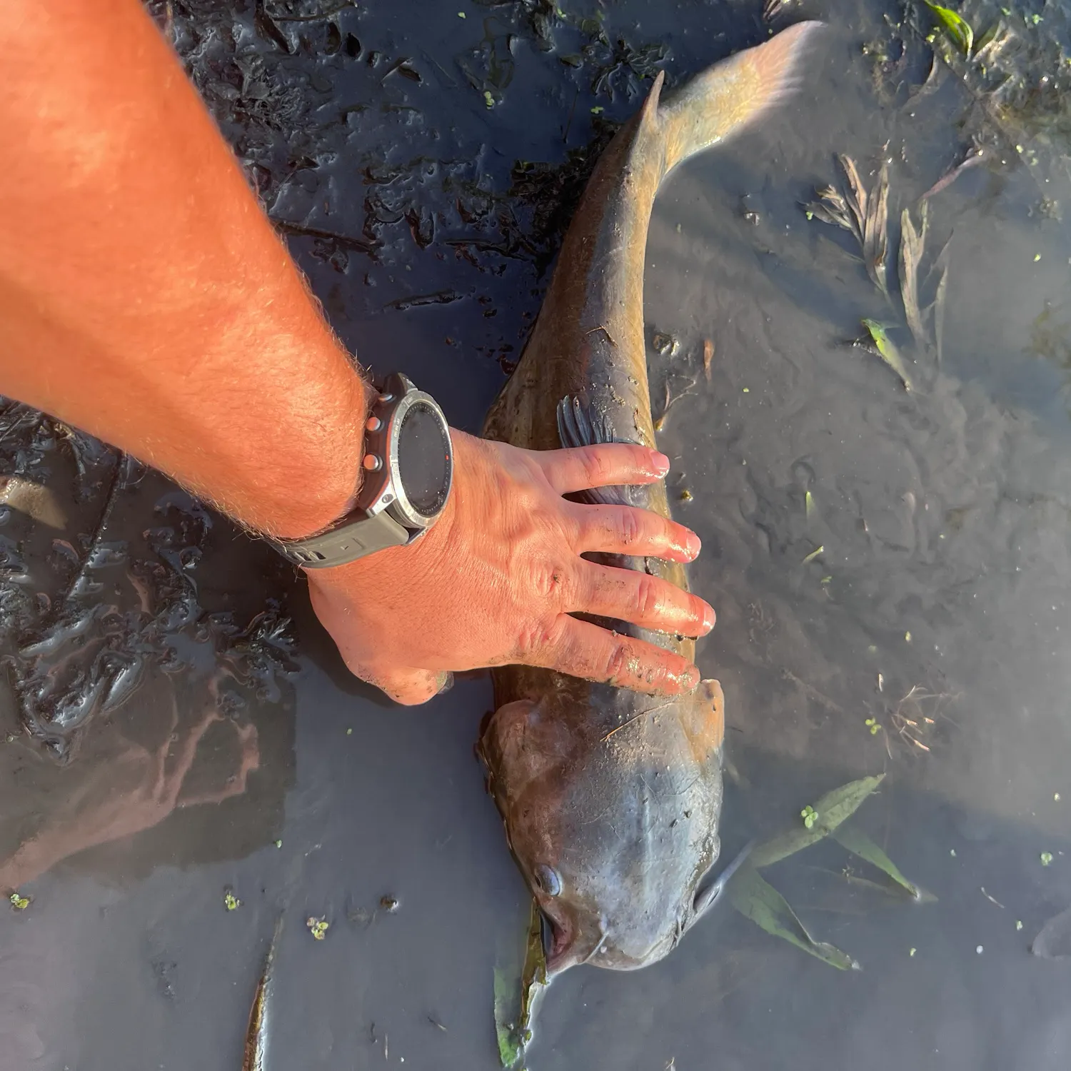 catch
