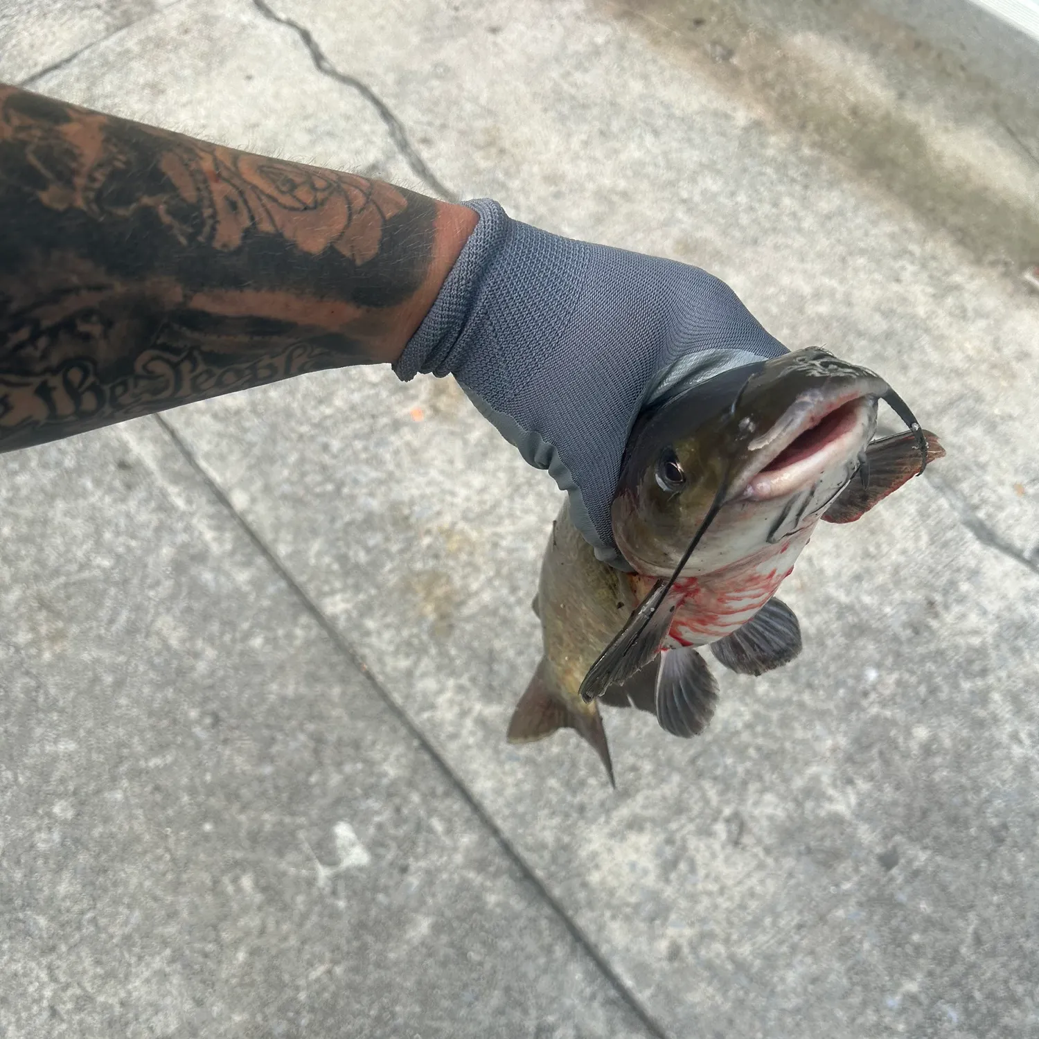 catch