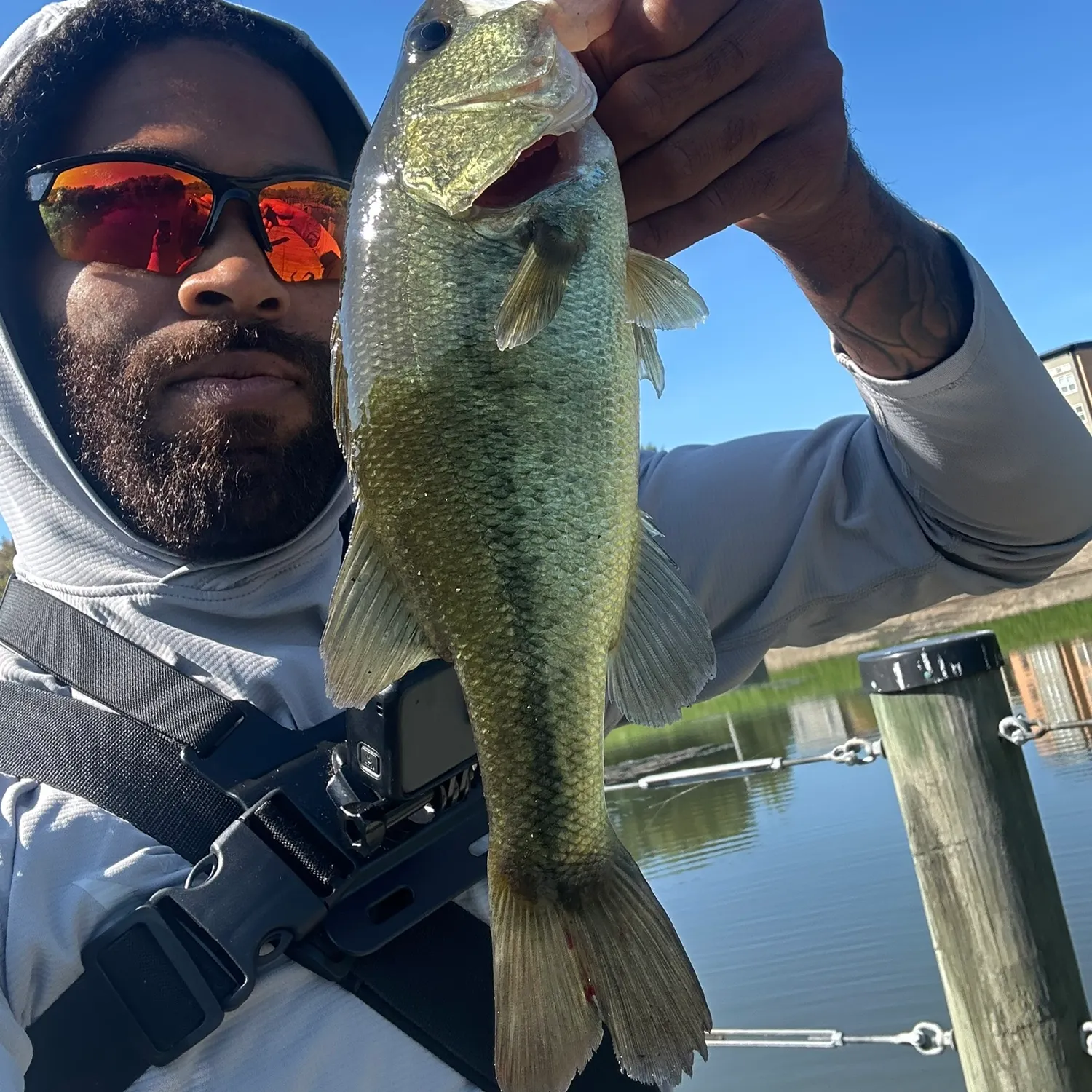Largemouth bass caught on Fishbrain