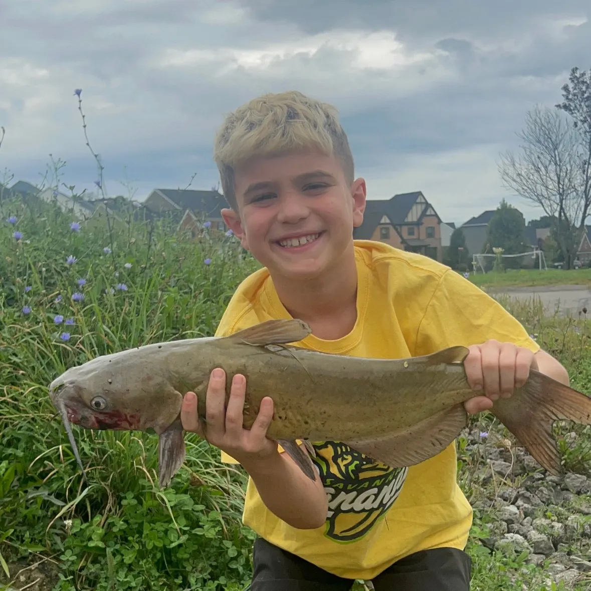 Channel catfish caught on Fishbrain