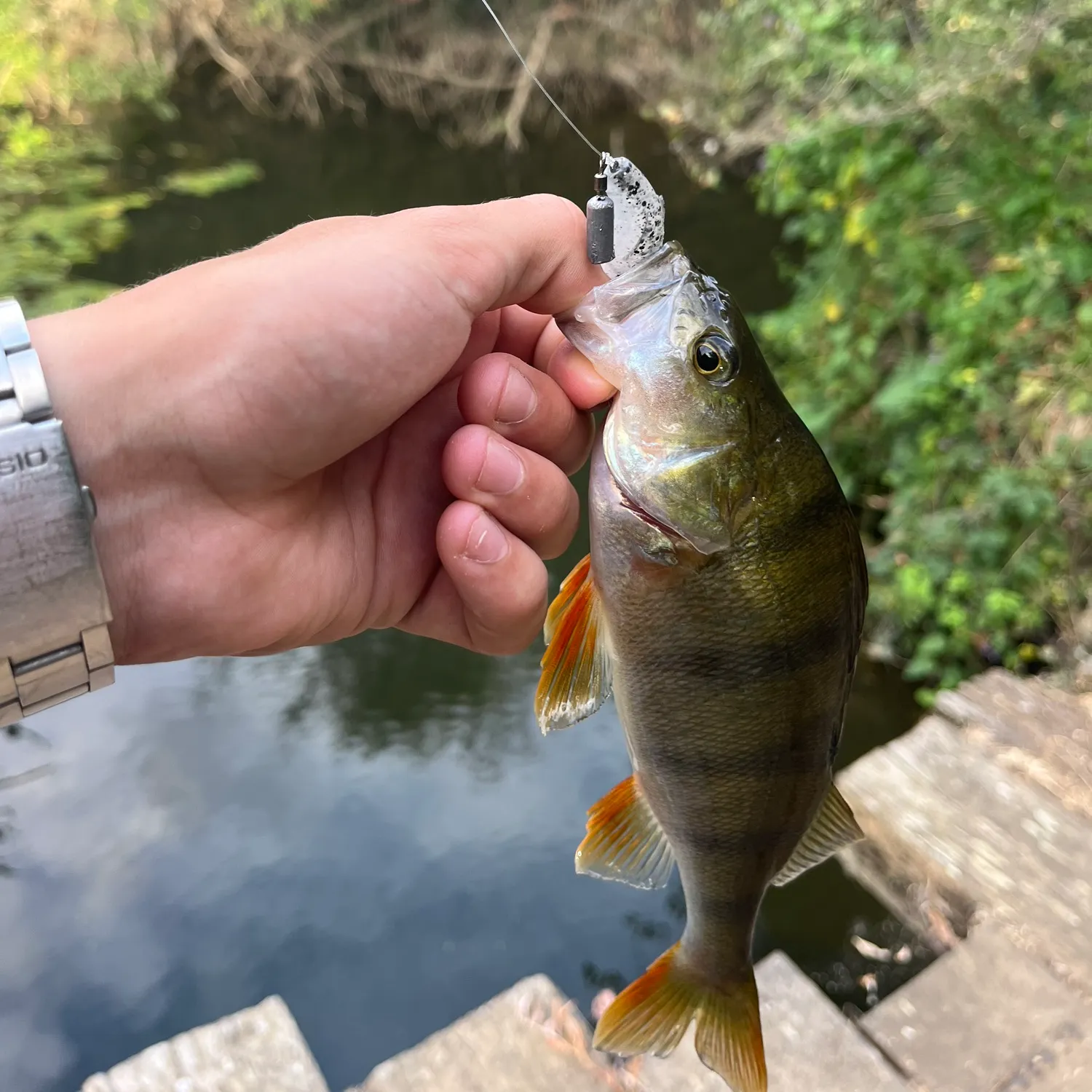 catch