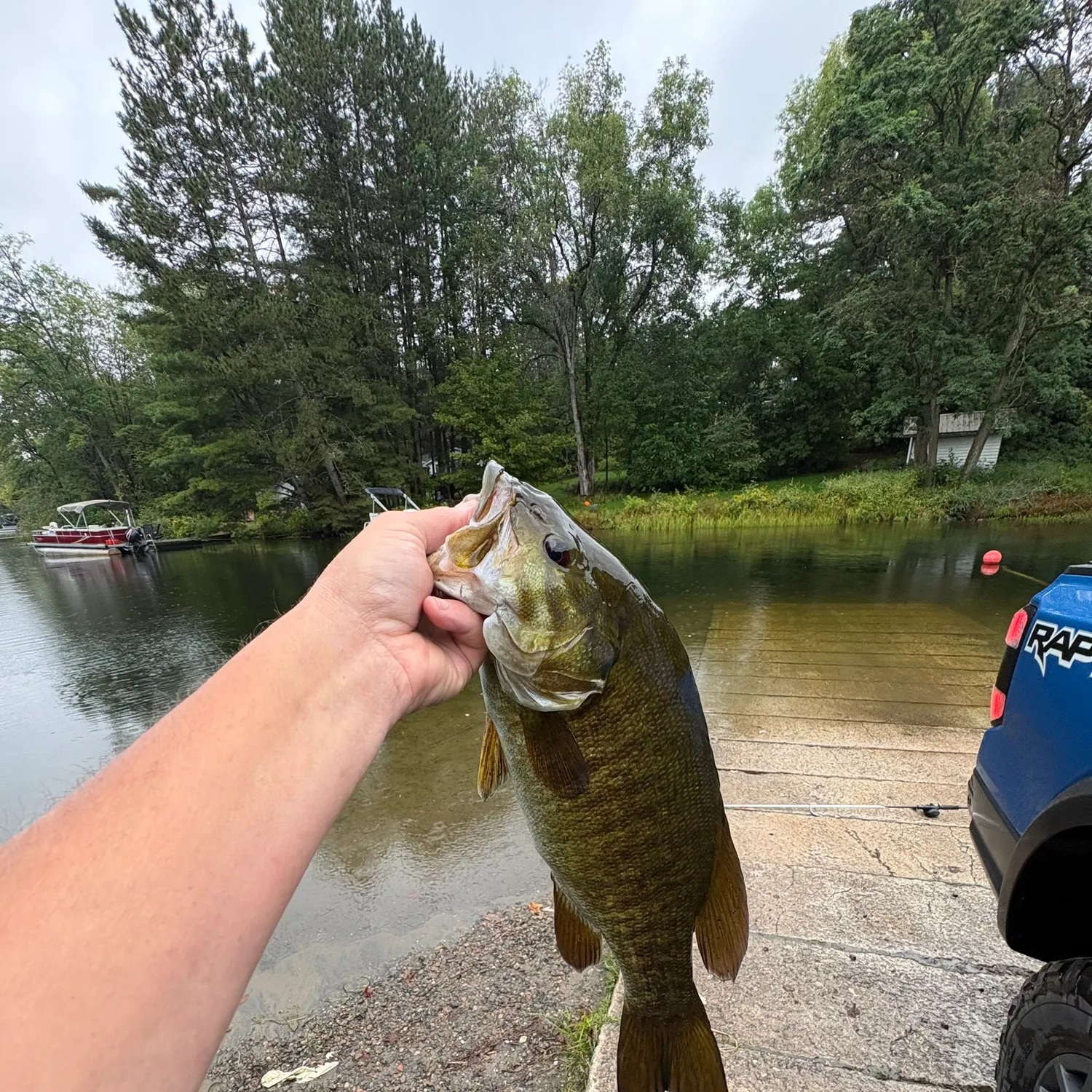 Smallmouth bass caught on Fishbrain