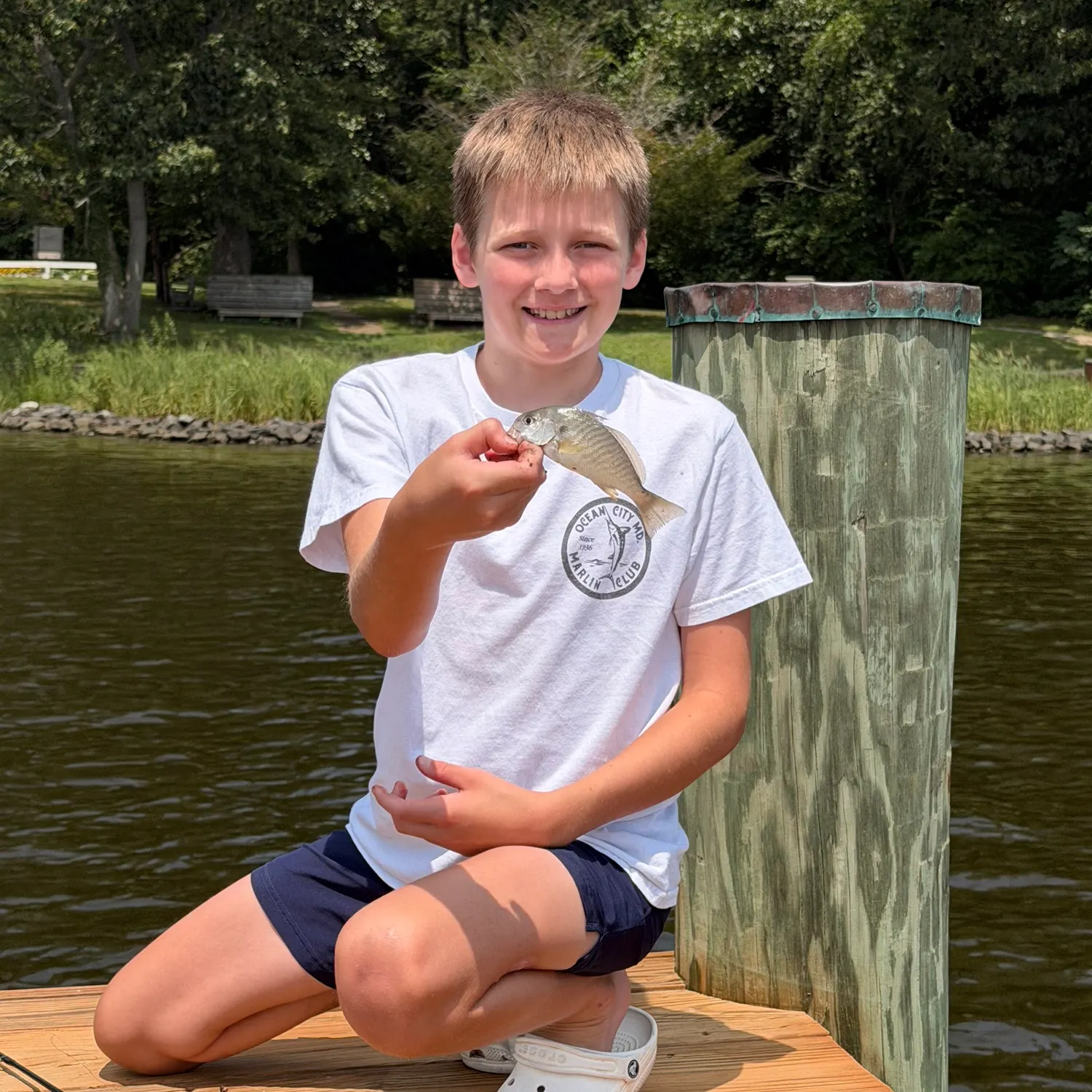 Spot croaker caught on Fishbrain