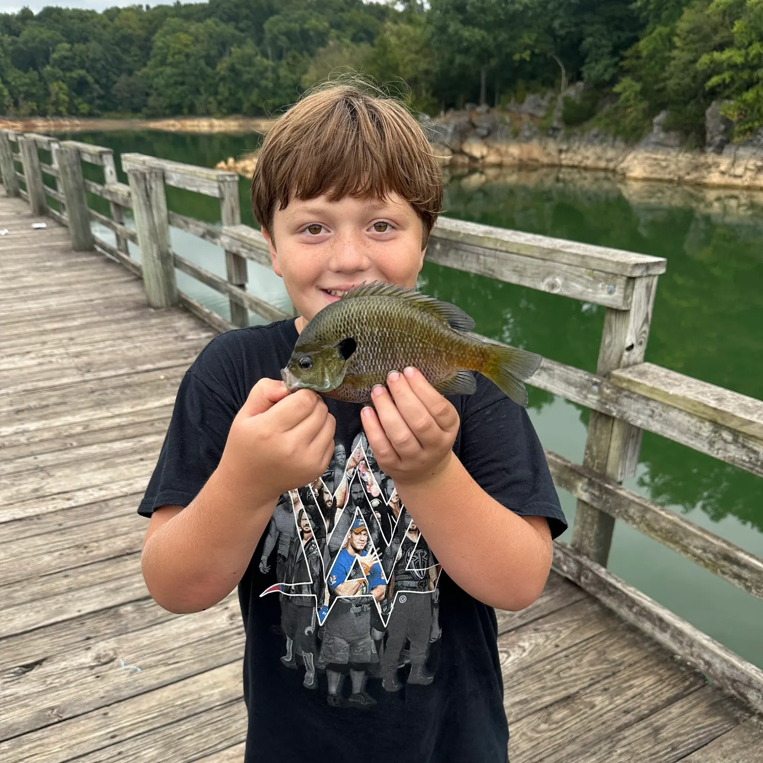 Bluegill caught on Fishbrain