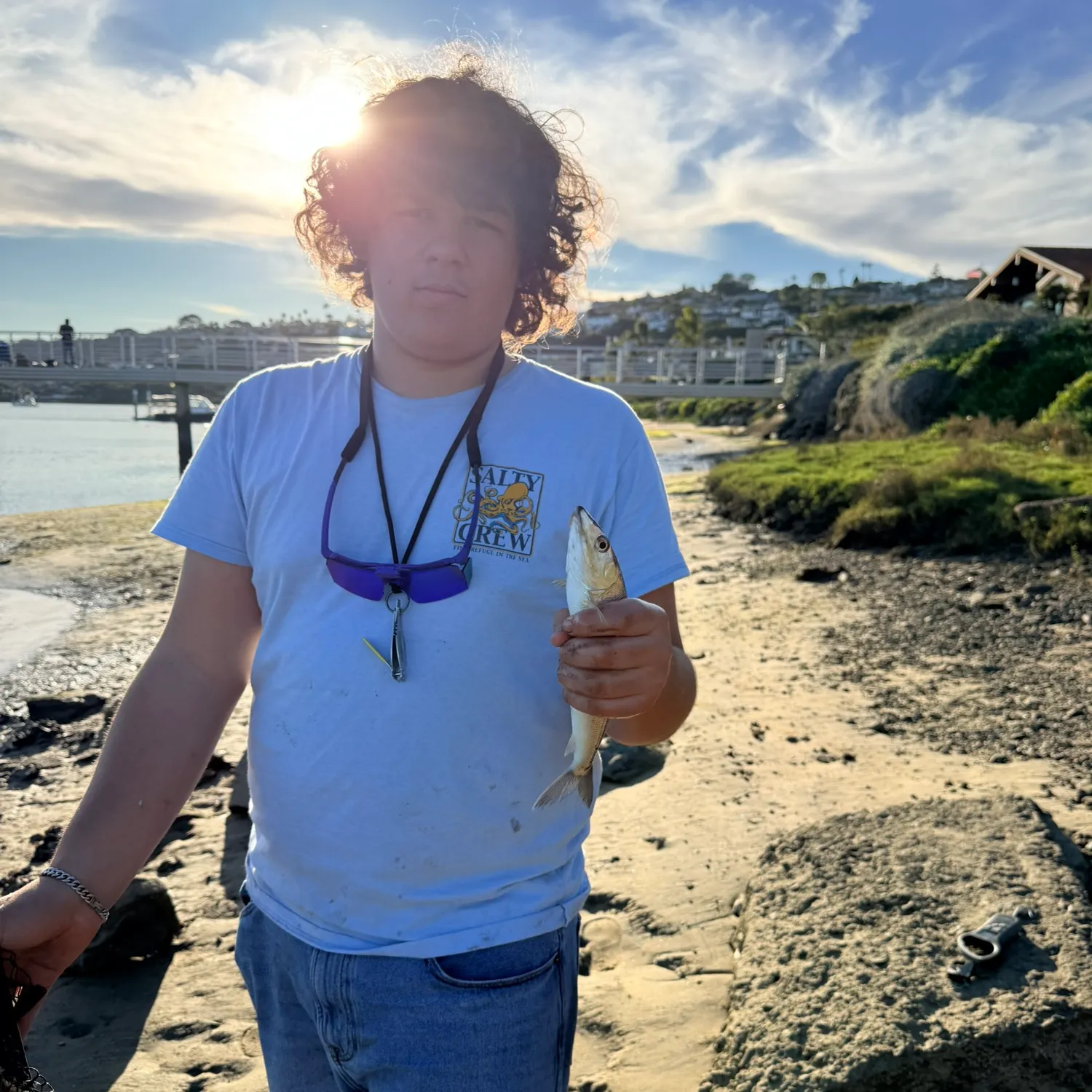 The most recent Cortez bonefish catches on Fishbrain