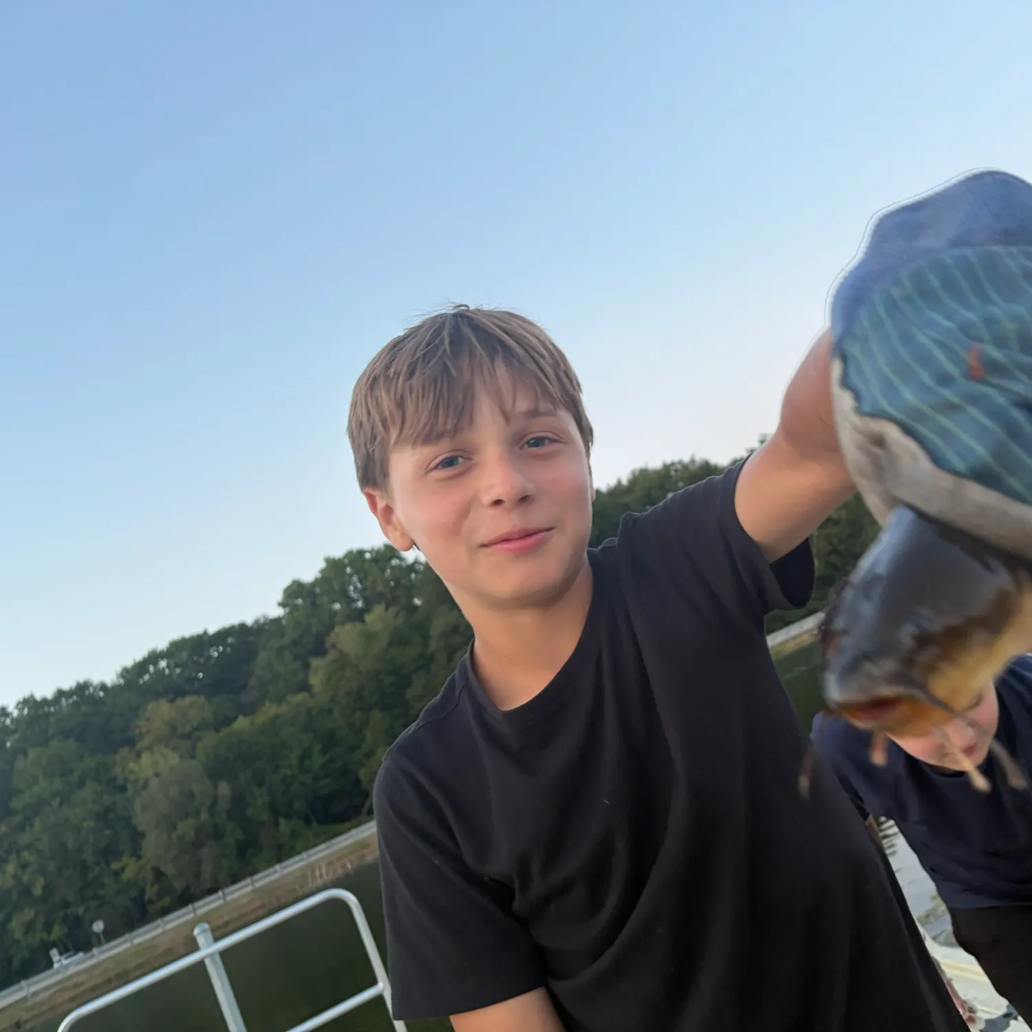 Black bullhead caught on Fishbrain